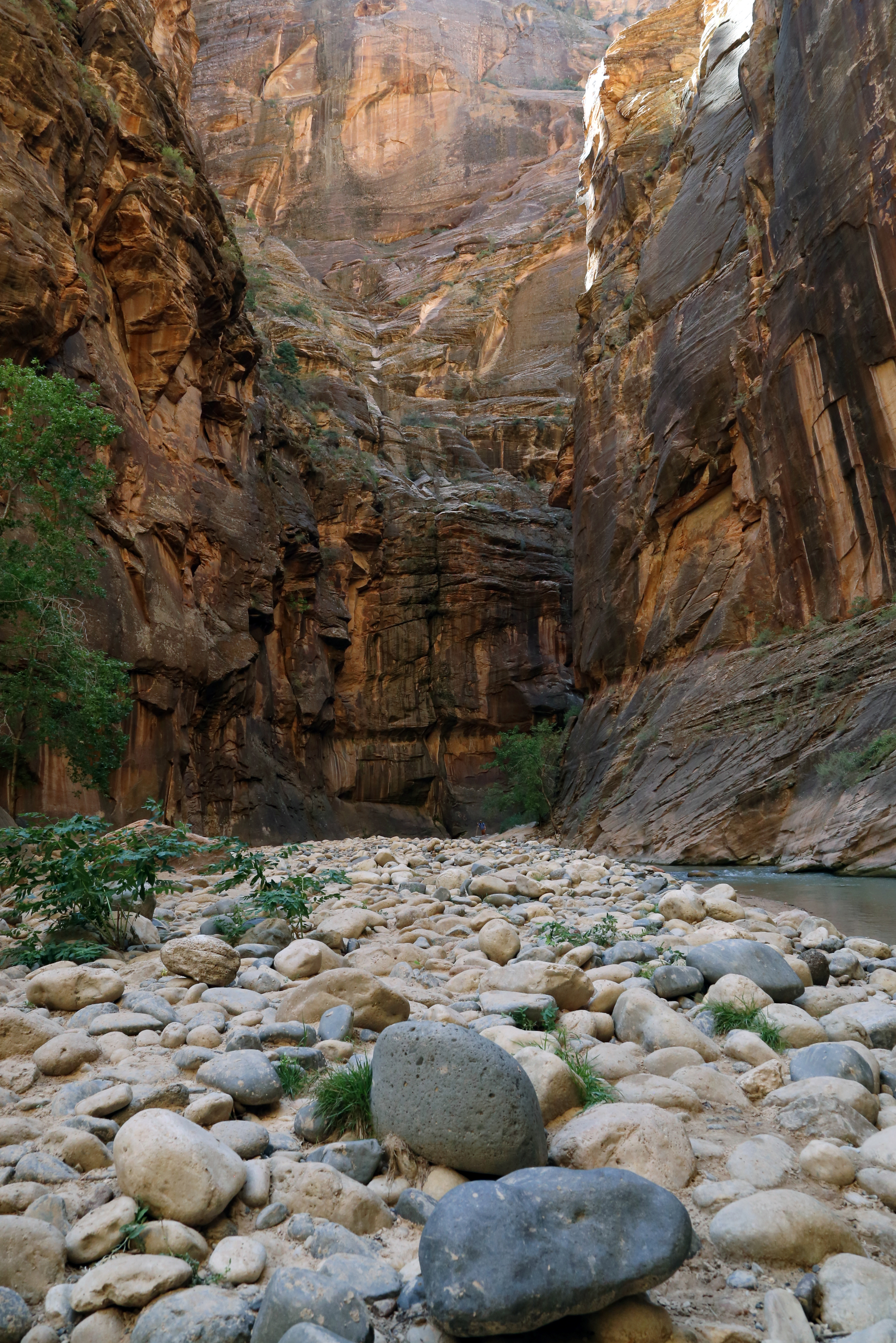 The Narrows, Zion National Park 