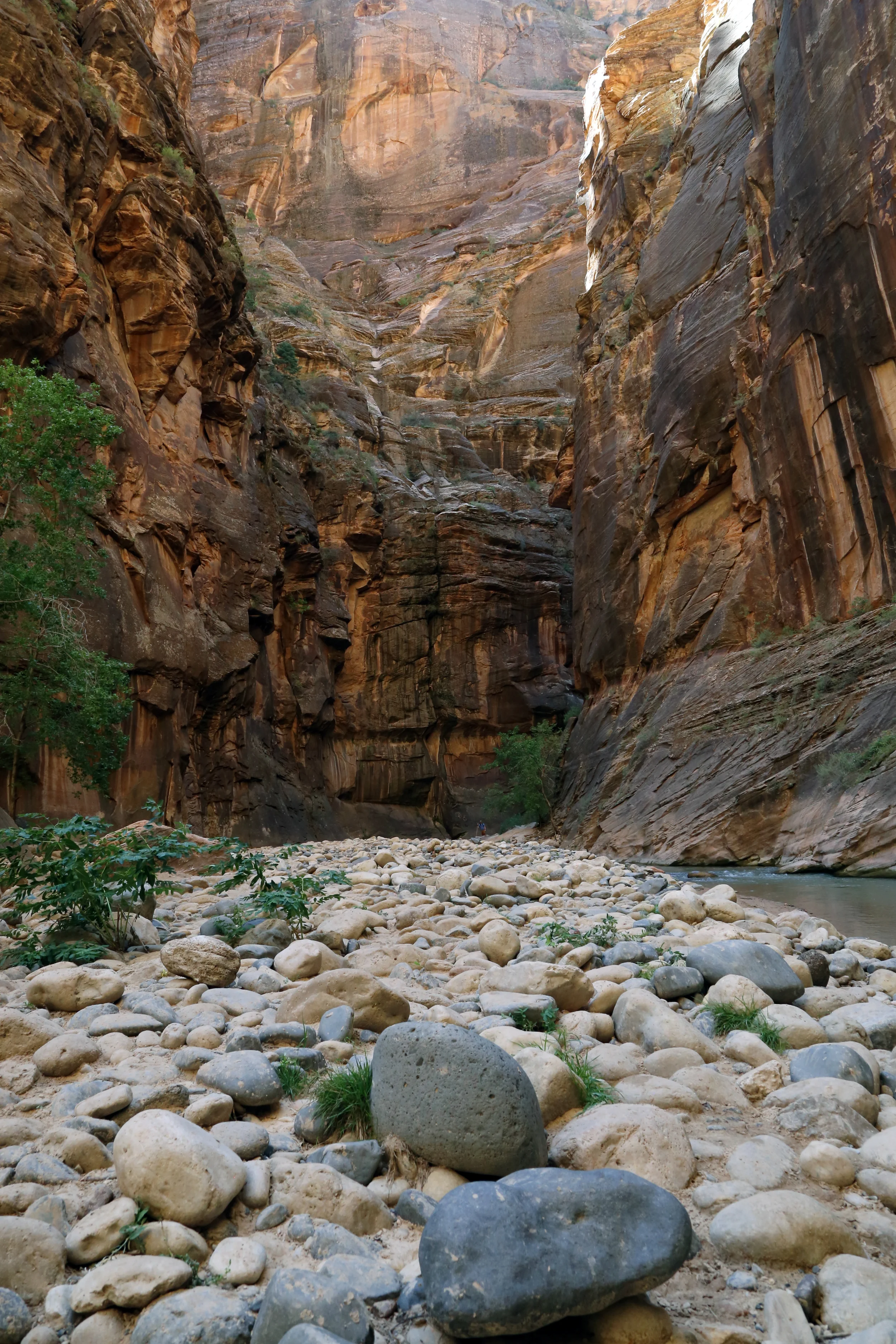 The Narrows, Zion National Park 