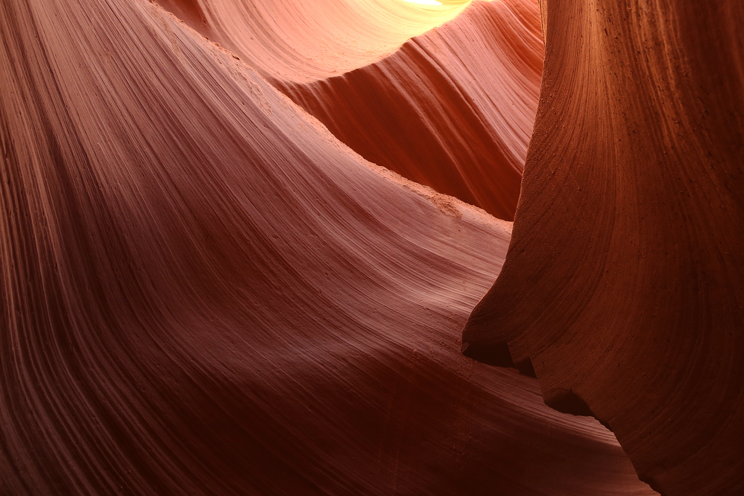 Exploring Nature and the National Parks - Fall 2015