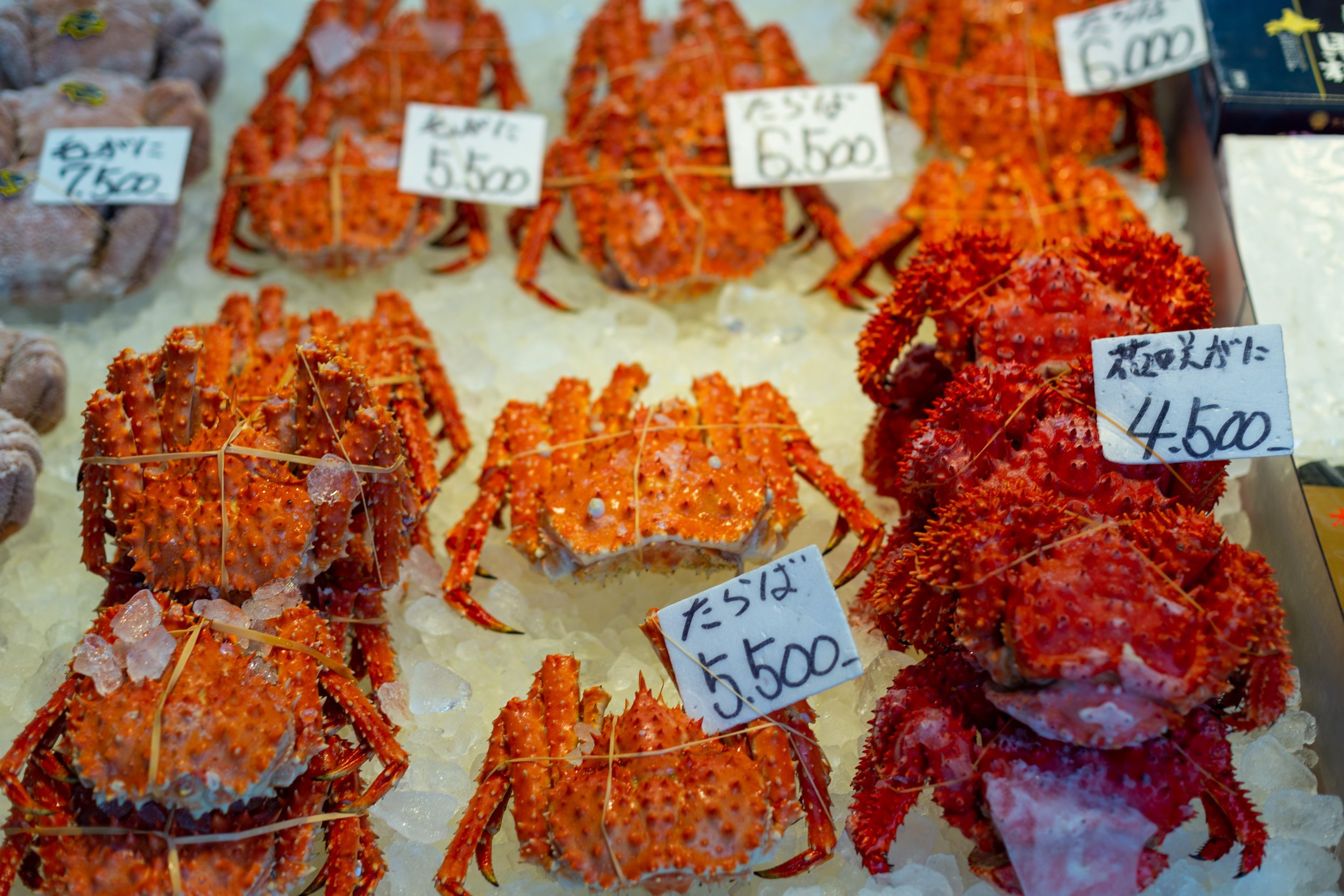 King Crab - Sapporo 