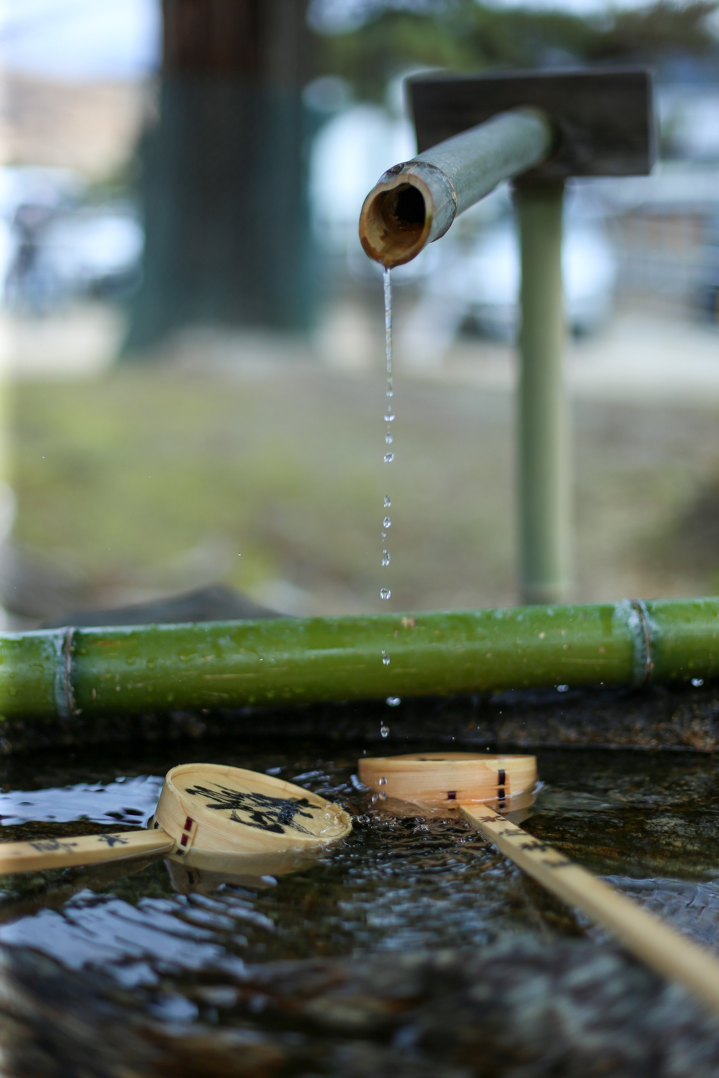 Wash Fountain - Nara Park 