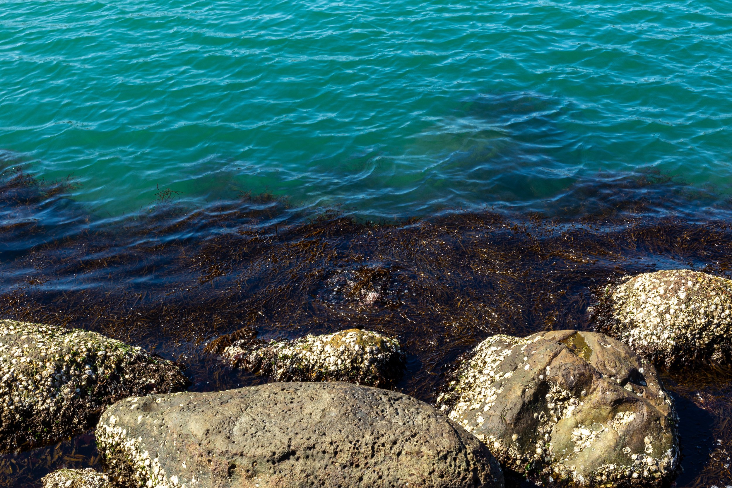 Shores of Japan - Outside Kinosaki 