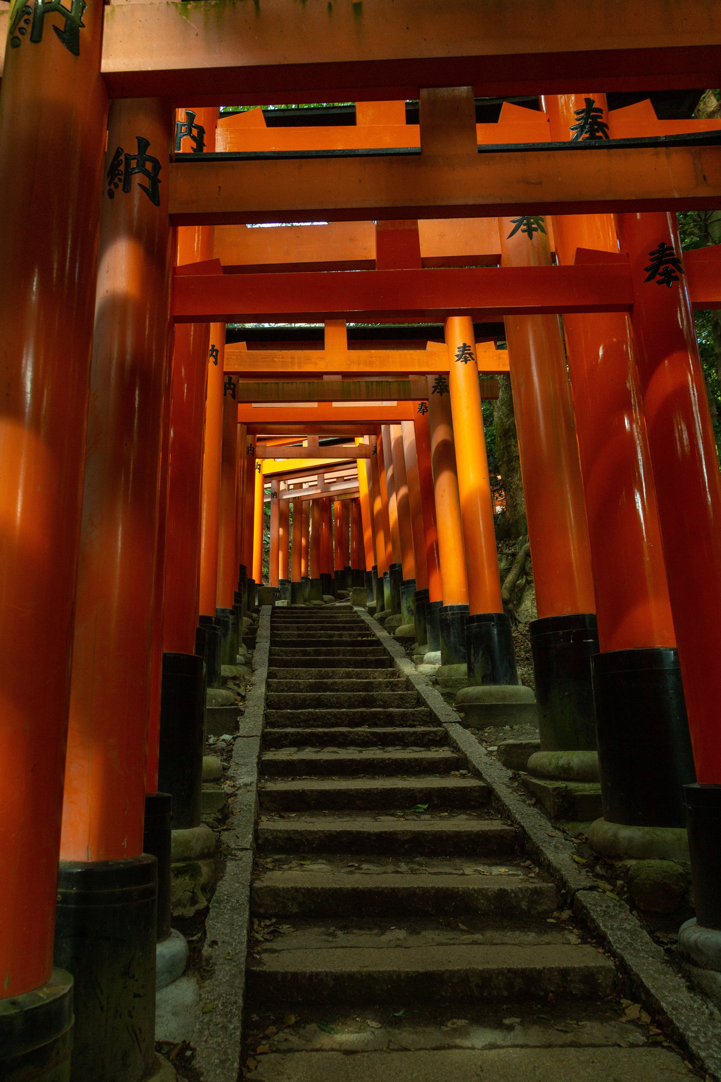 Fushimi Inari Shrine - Kyoto