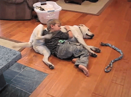 collaboration.gif