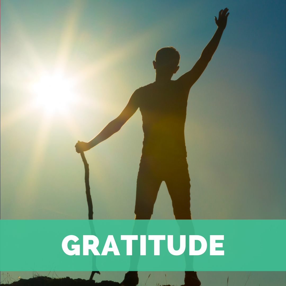kp-gratitude.png