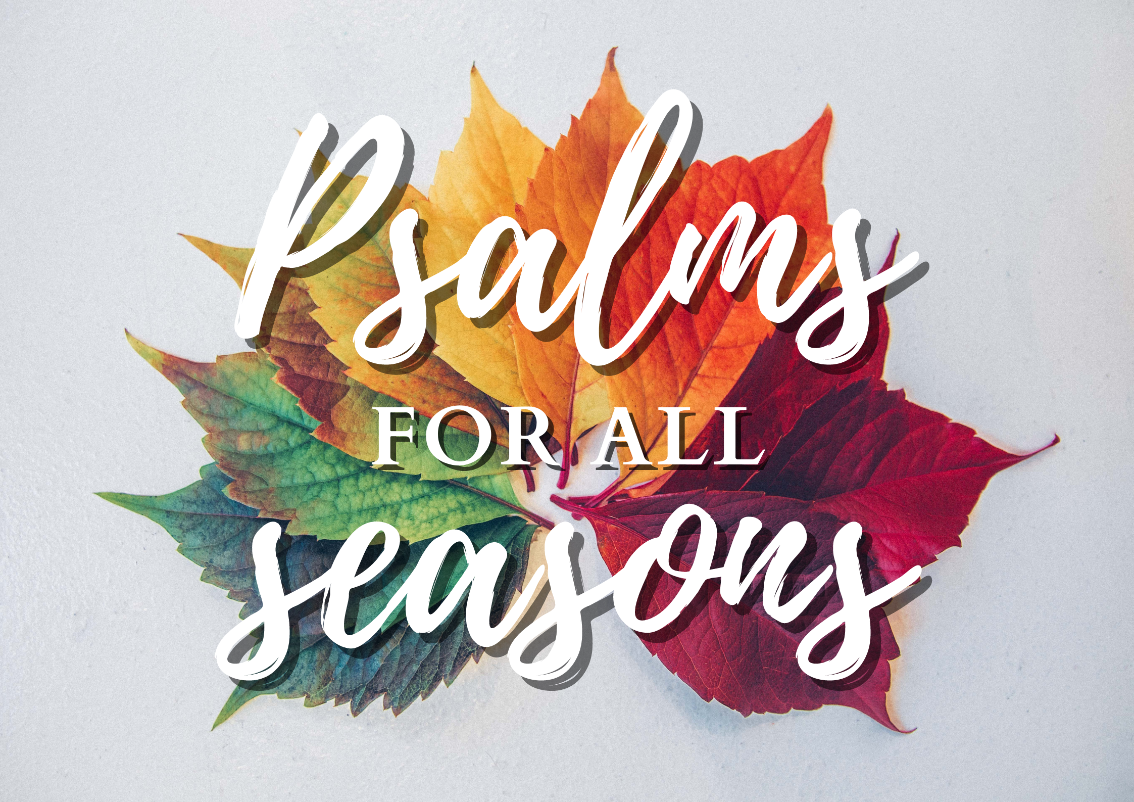 Overall Series - Psalms For All Seasons.png
