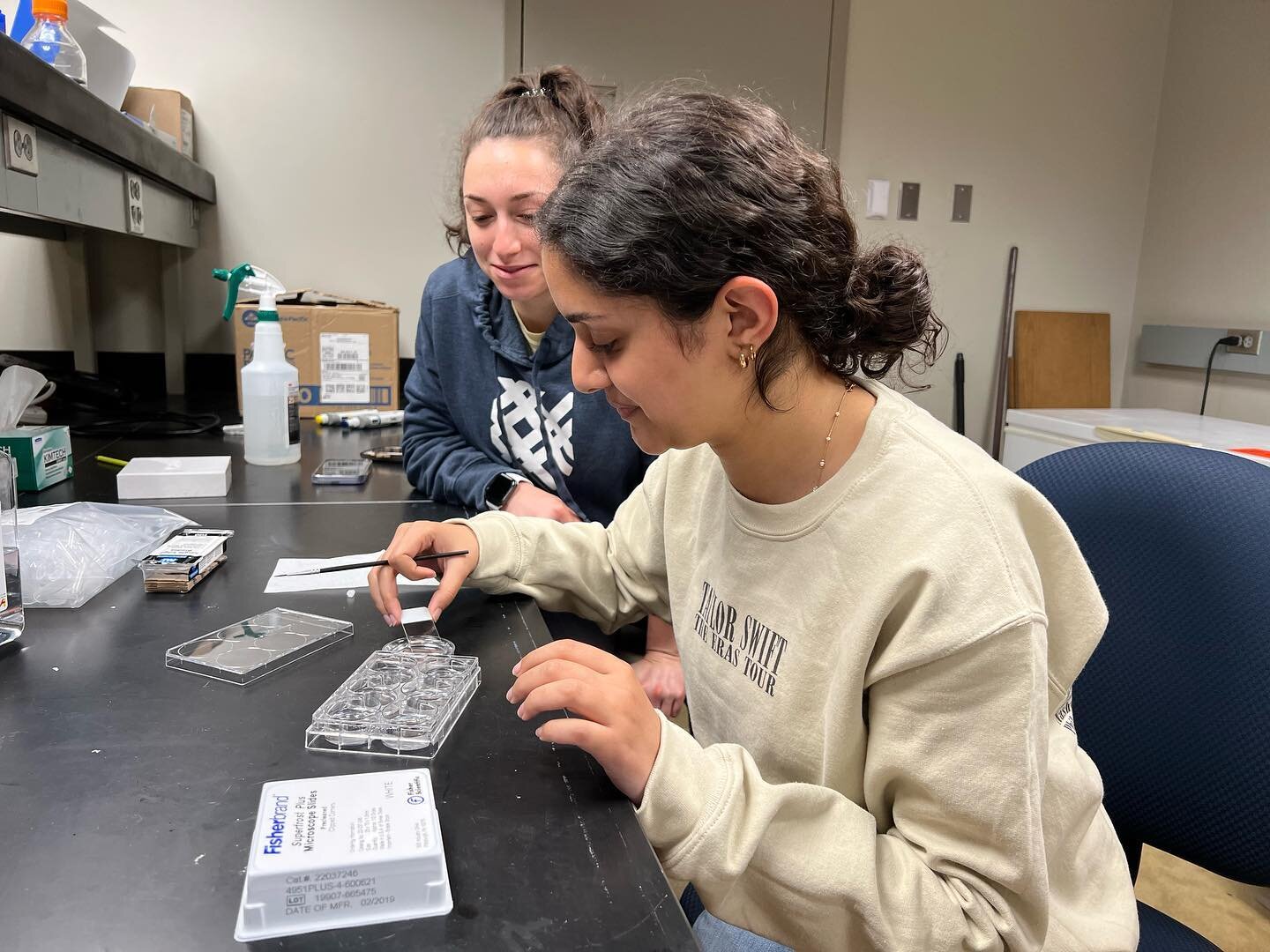 Summer research has begun! Sonya and Carly practice mounting brain slices onto slides, one of the greatest hurdles IMHO