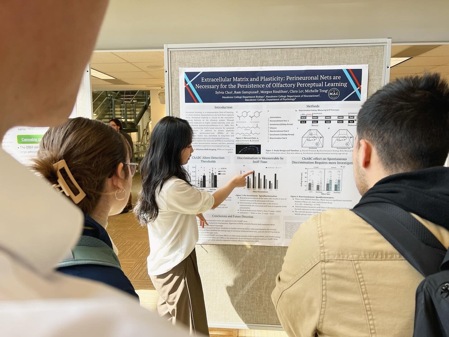 Big congrats to @choi.syl for her Biology capstone presentation on our project looking at what happens to olfaction discrimination when we remove the extracellular matrix from the olfactory bulb. Great work, Sylvia!