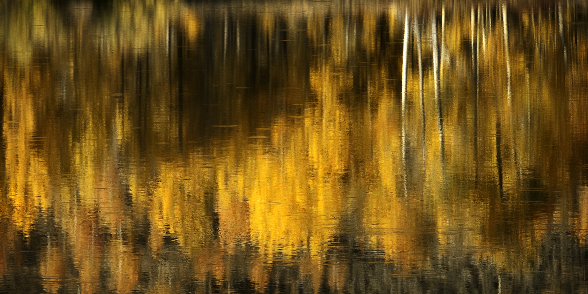 fall reflection.jpg