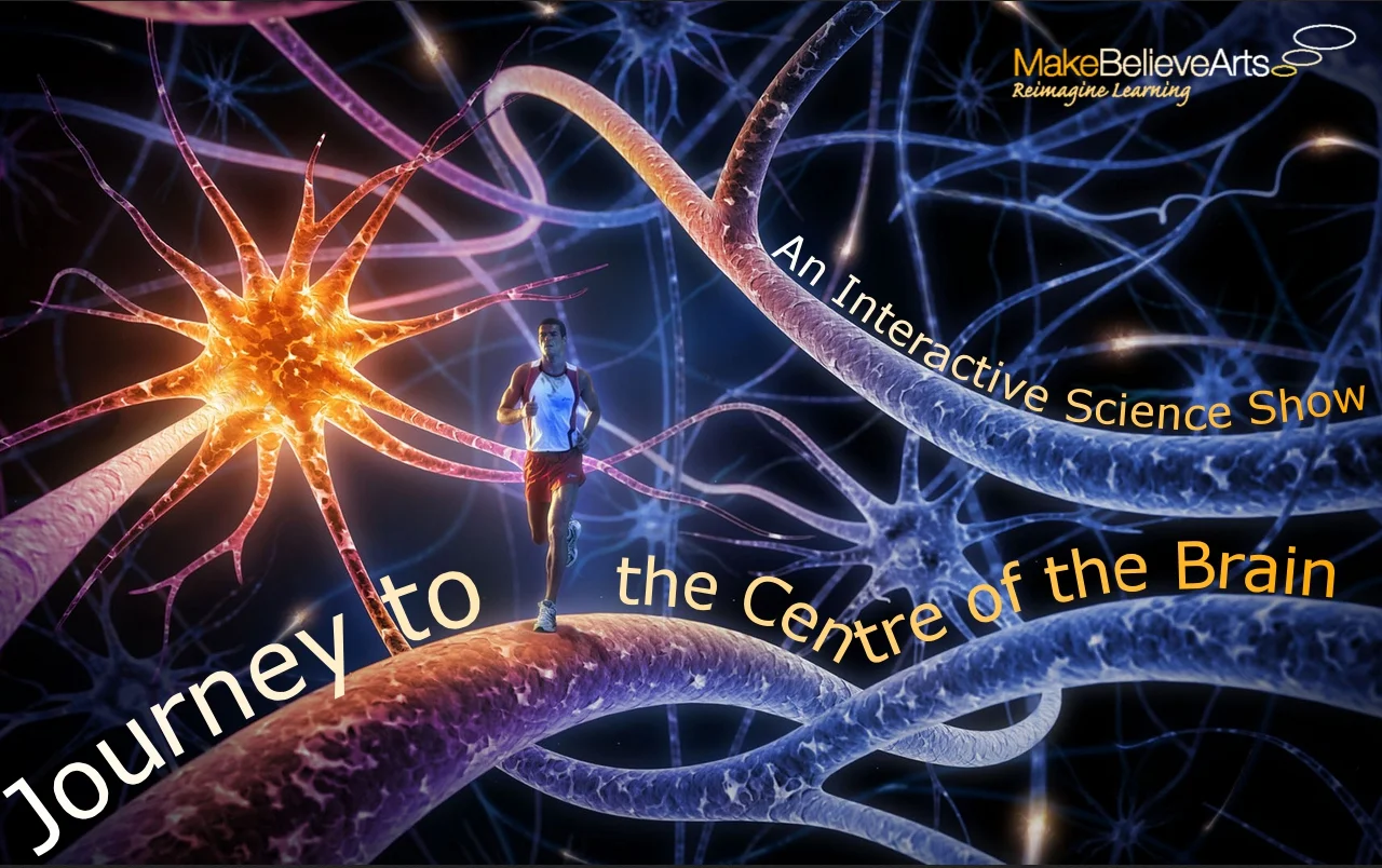final image.jpg