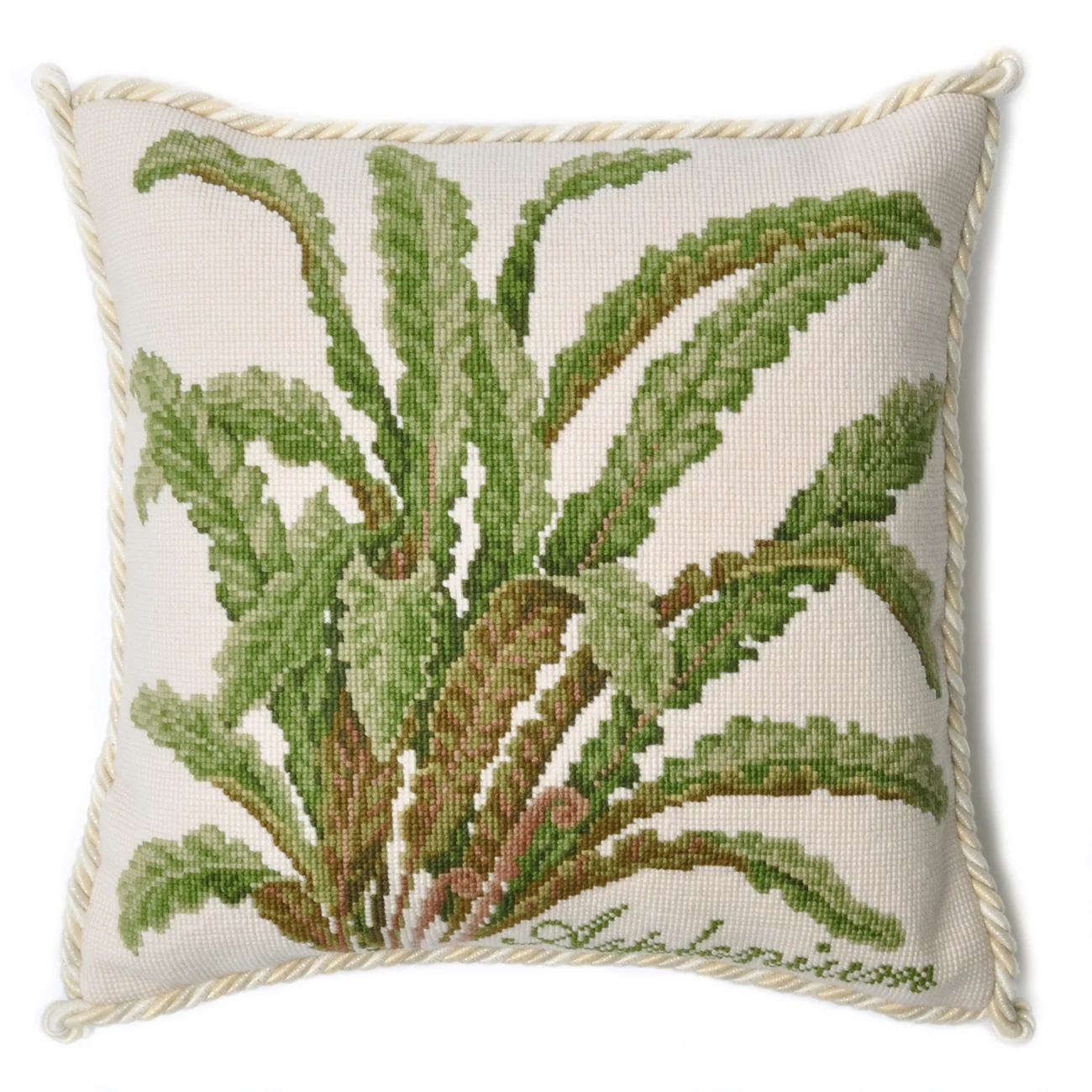 Asplenium_full x.jpg
