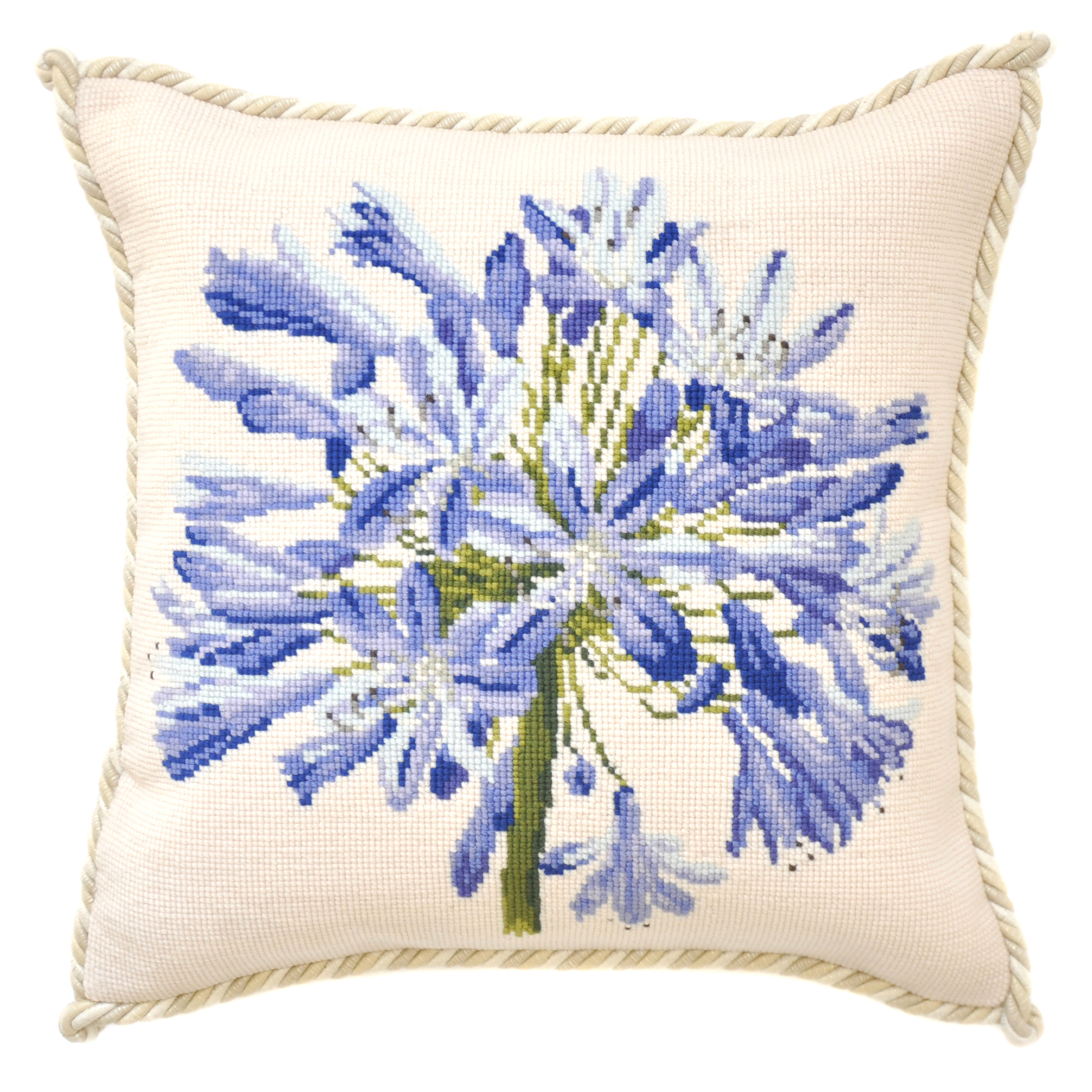 New Agapanthus .jpg