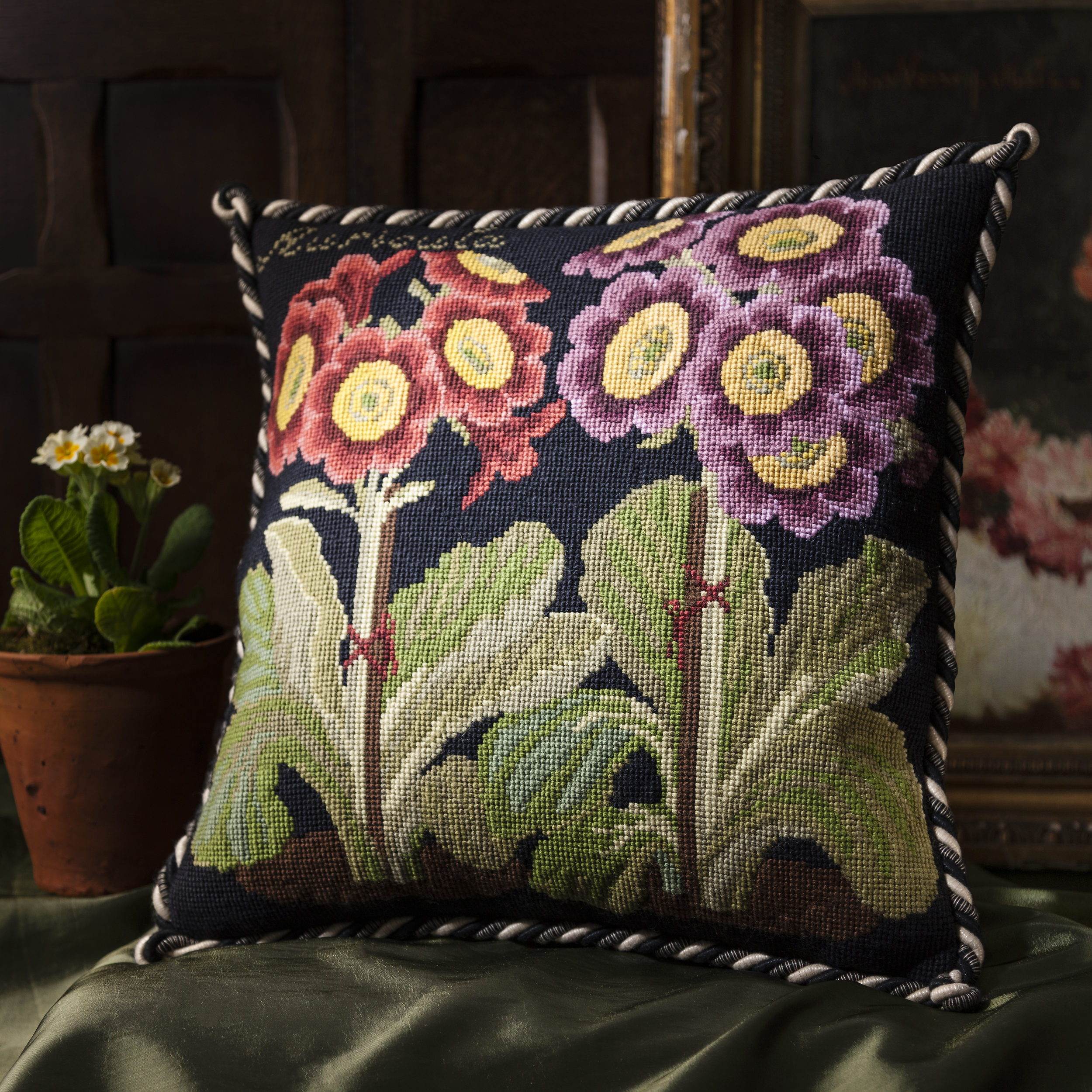 Auricula Black Cushion - Botanical Gardens.jpg