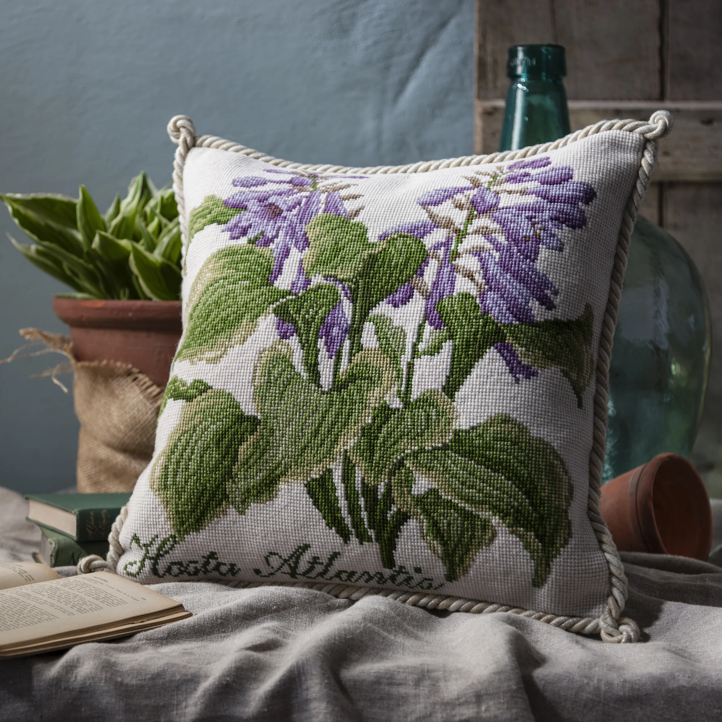 Hosta Atlantis Cream Cushion - Shade Garden.jpg