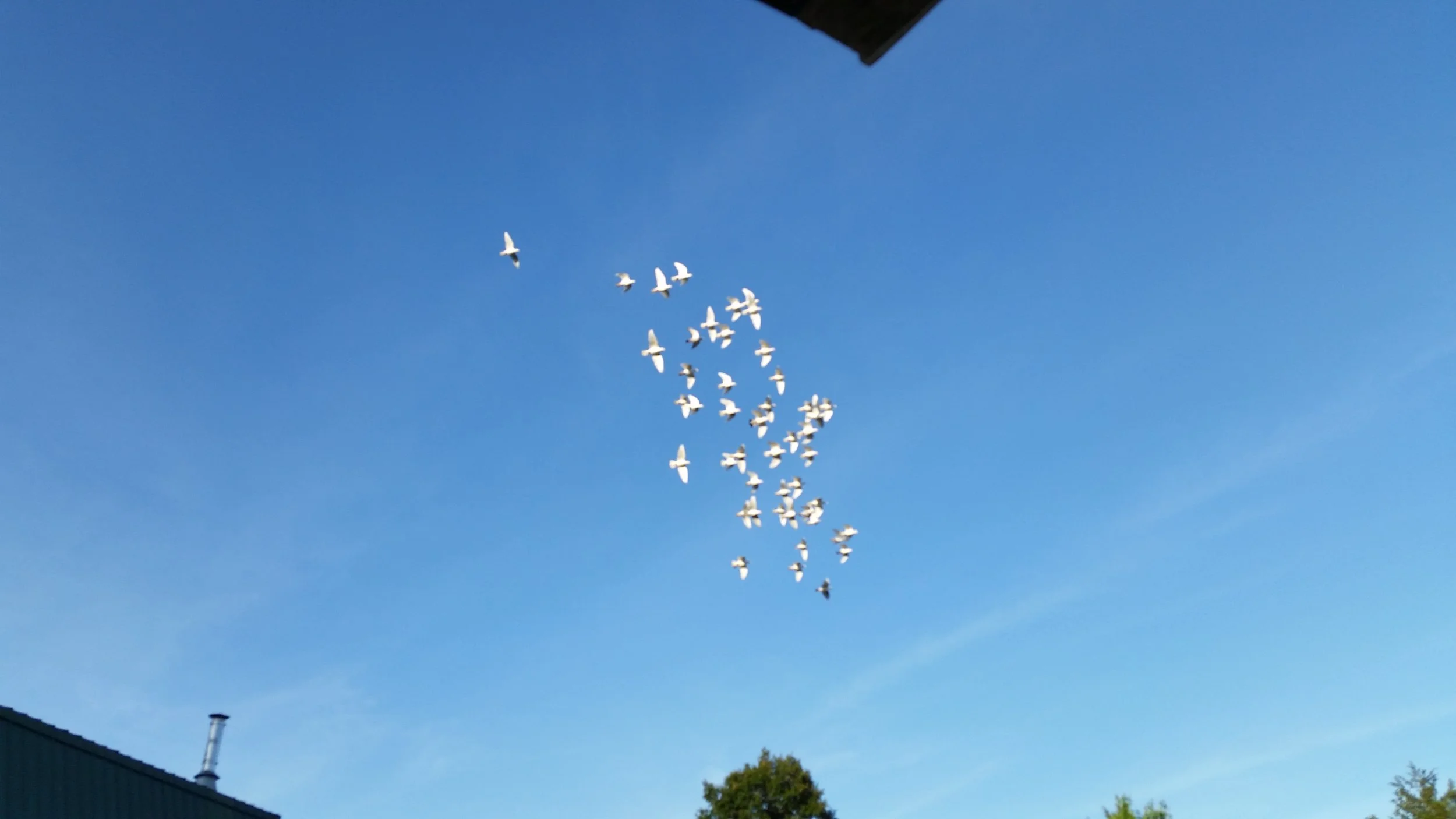 20160602_191554.jpg