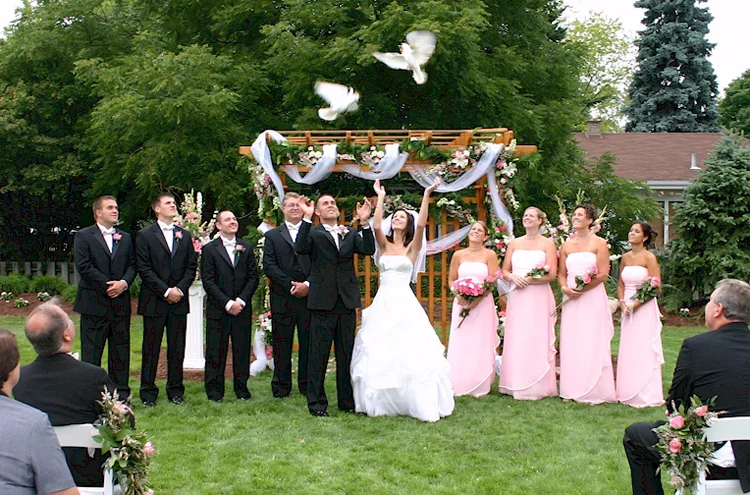 Butterfly Release 750.jpg