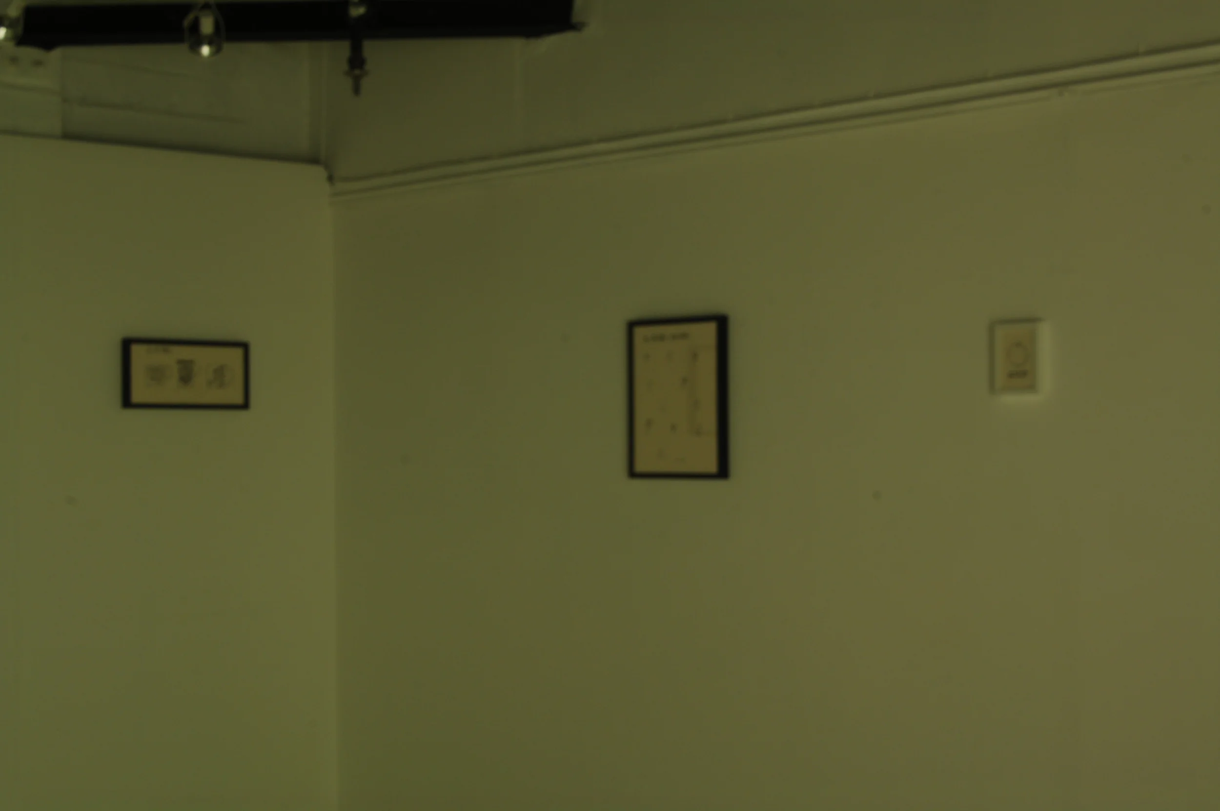 DSC_0021.jpg