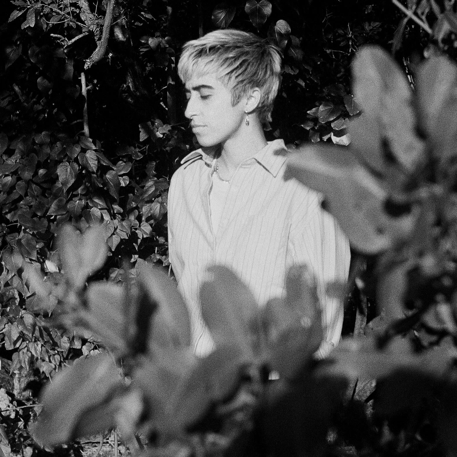 Caro Gutierrez (associate)