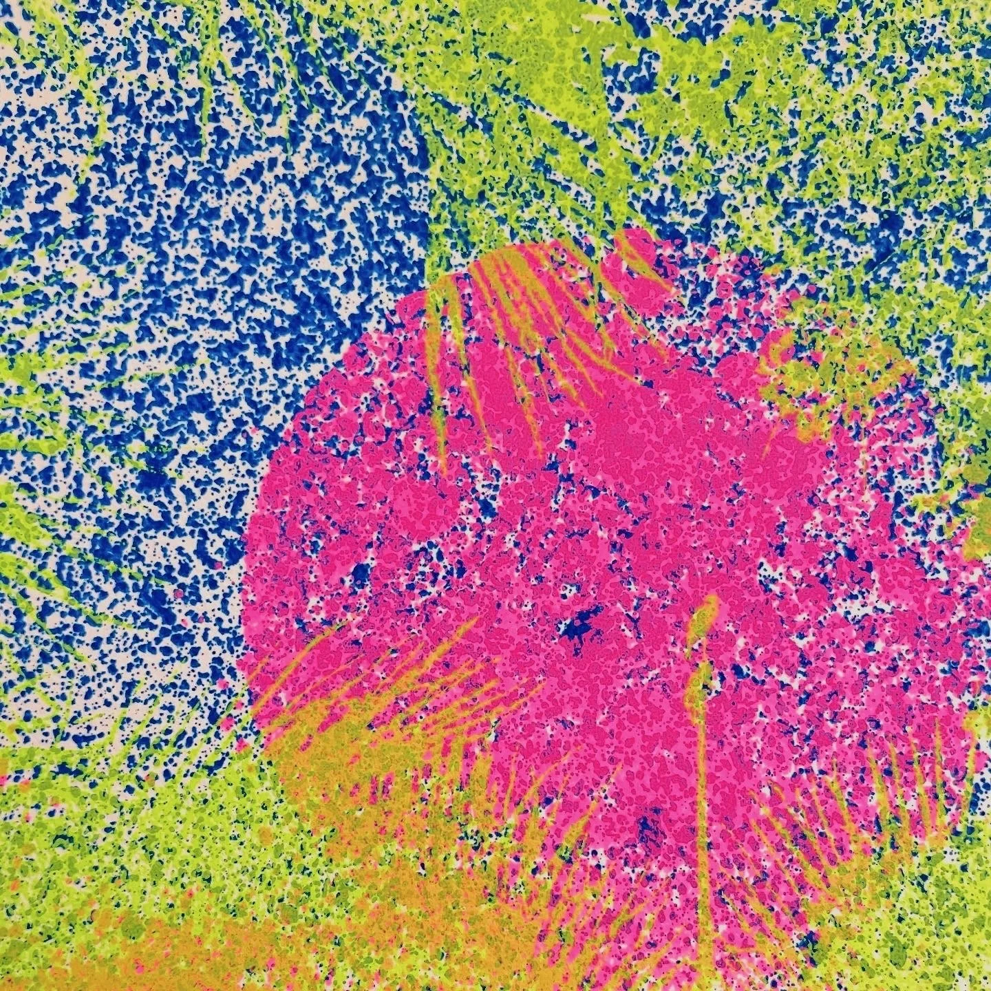 In Conversation: Archival Feedback x Bakehouse