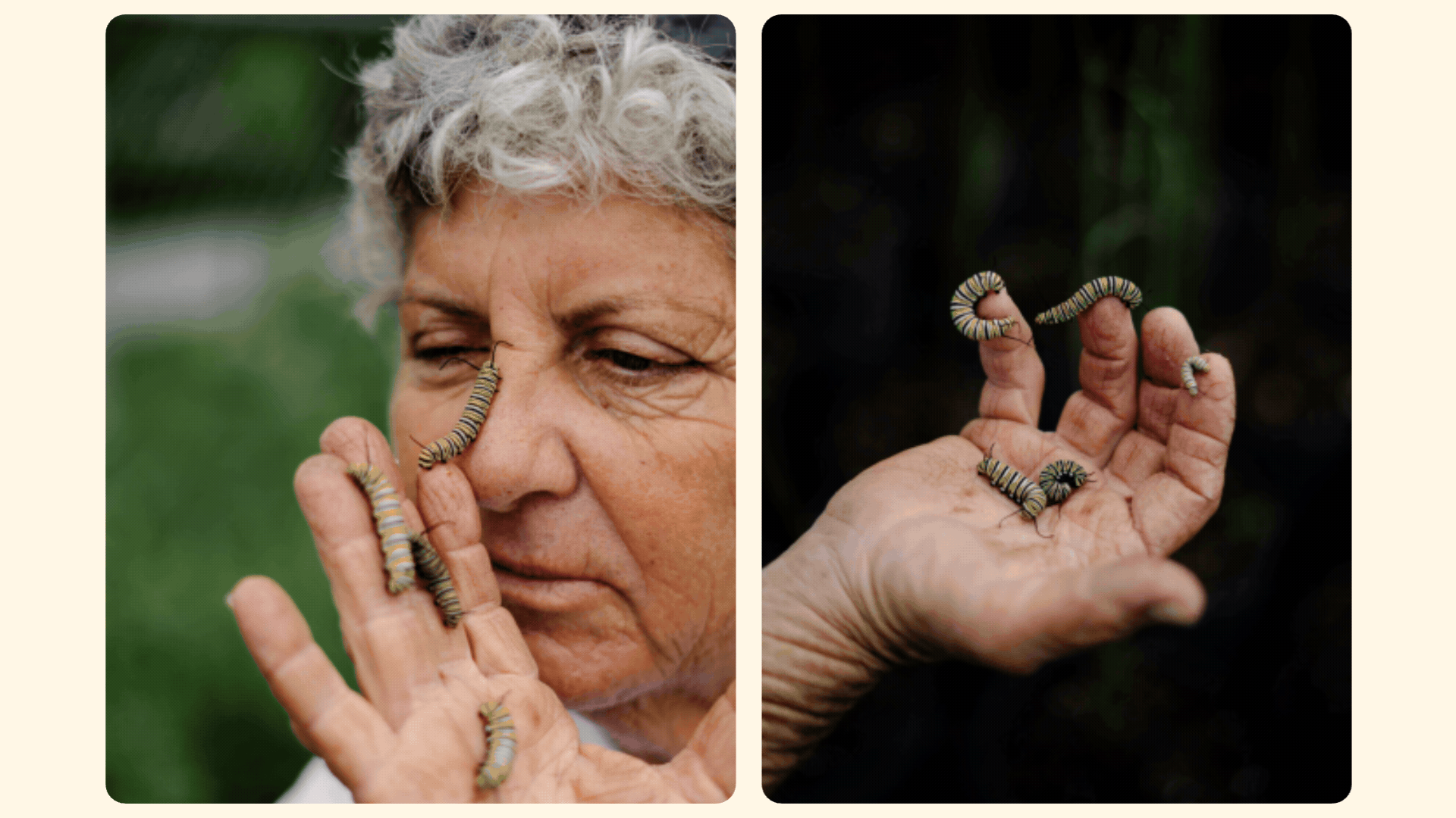 In Conversation: Kinship and Care