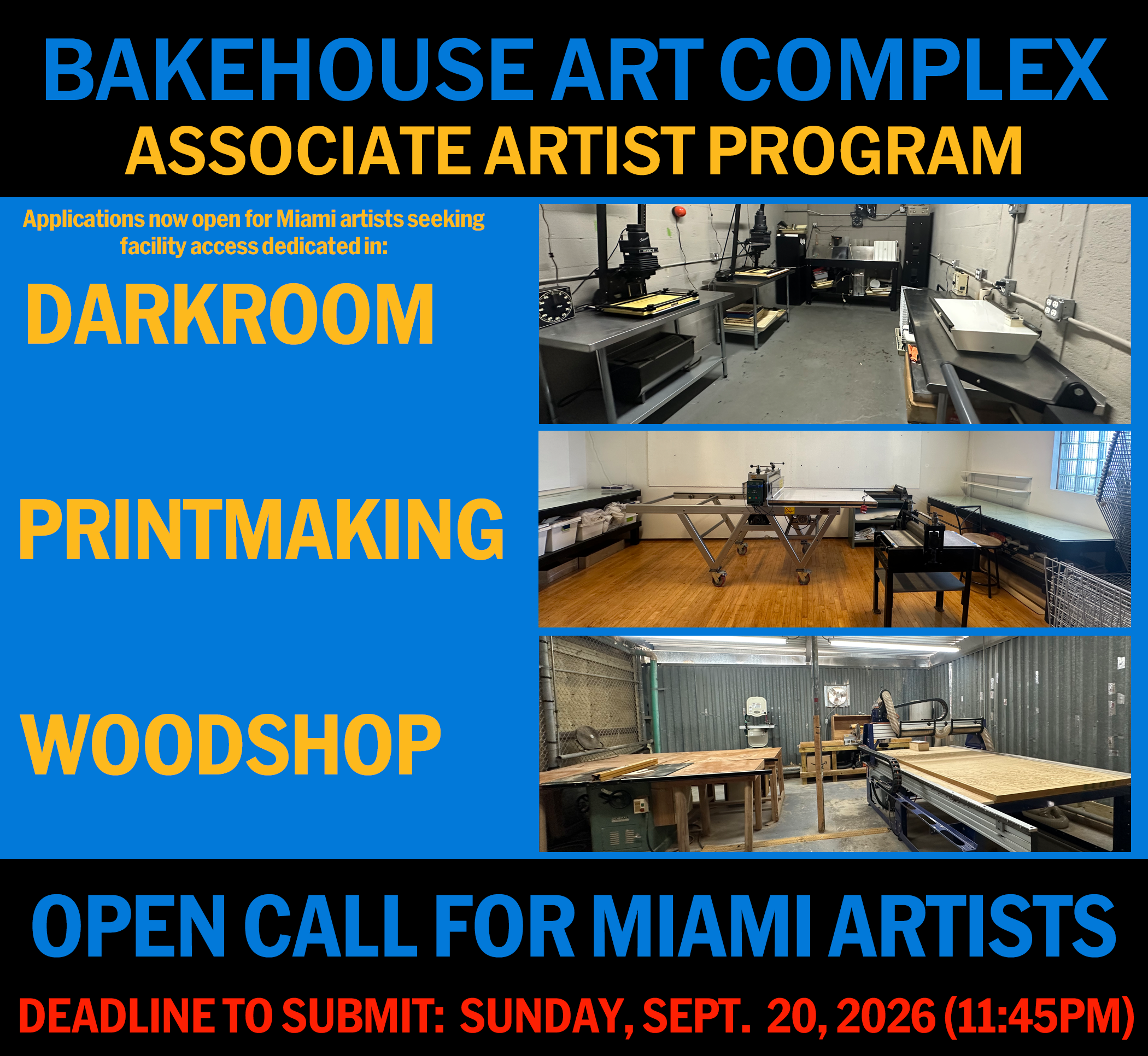 Associate-Artist-OpenCall-flyer1.png