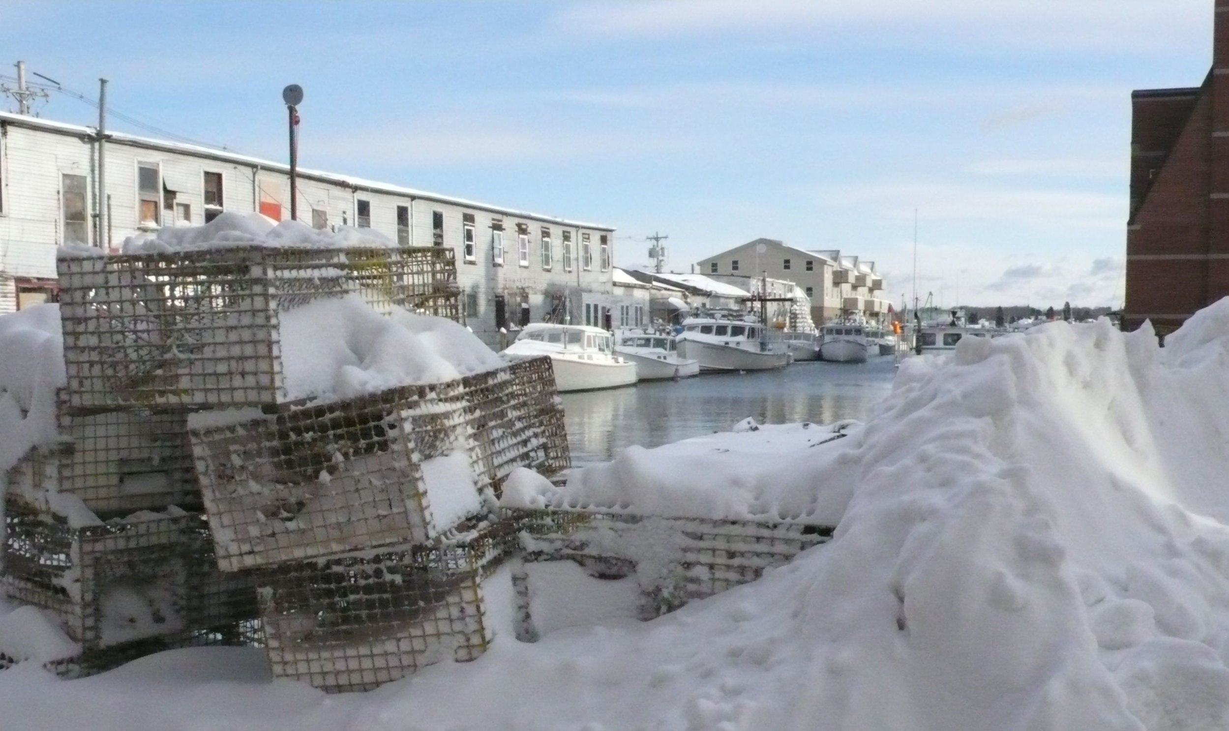 Contact — Wills & Trusts Probate Protective Proceedings Business Law