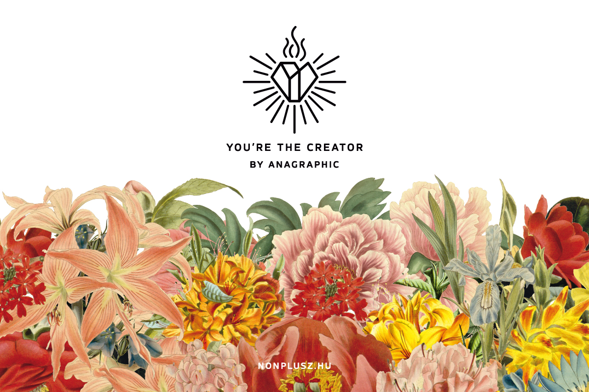 creator_1.jpg