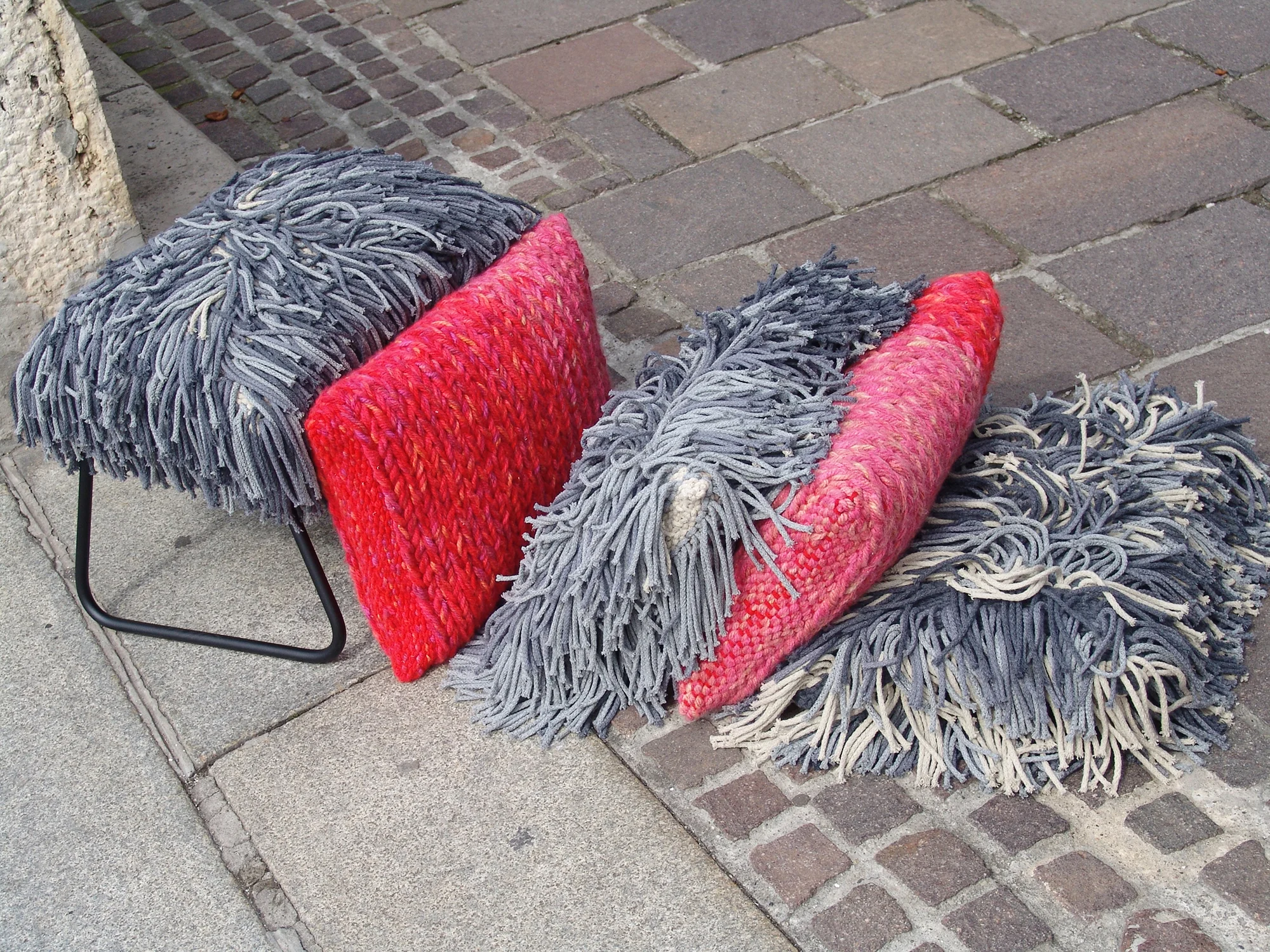 1 Puli+.jpg