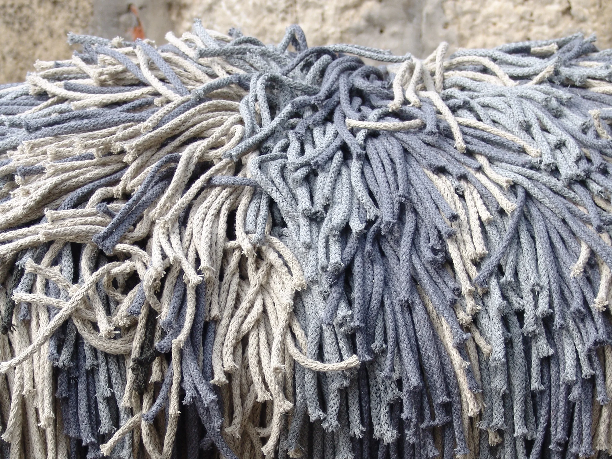 4 Puli+.jpg
