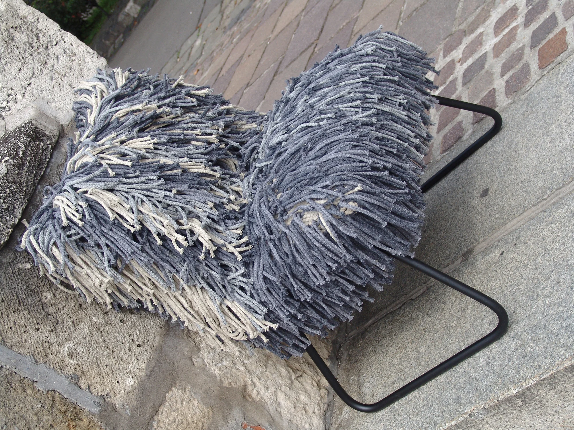 9 Puli+.jpg