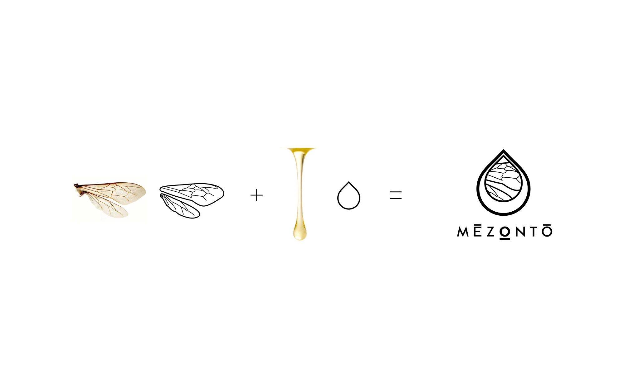 mezonto_02.jpg