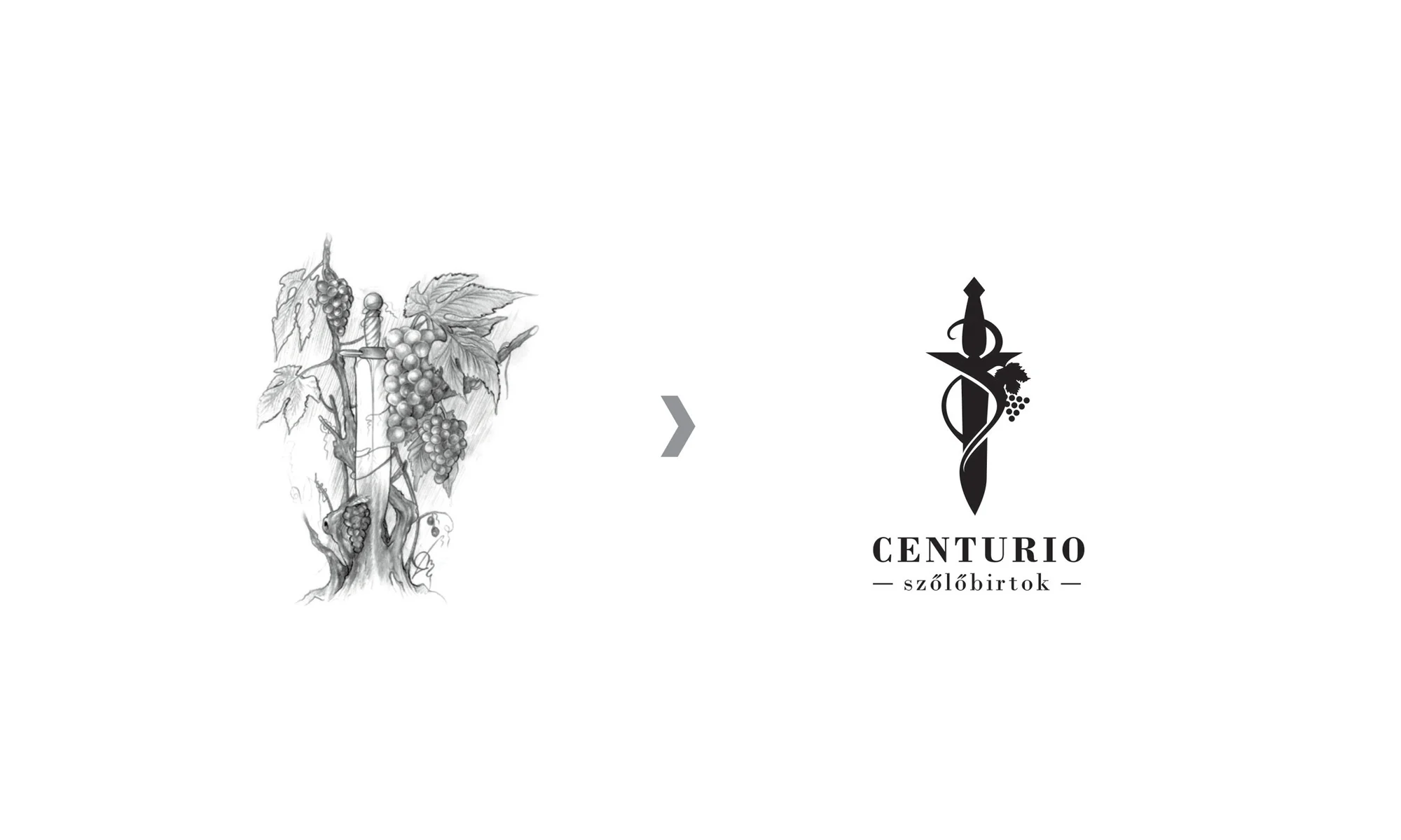 centurio_02.jpg