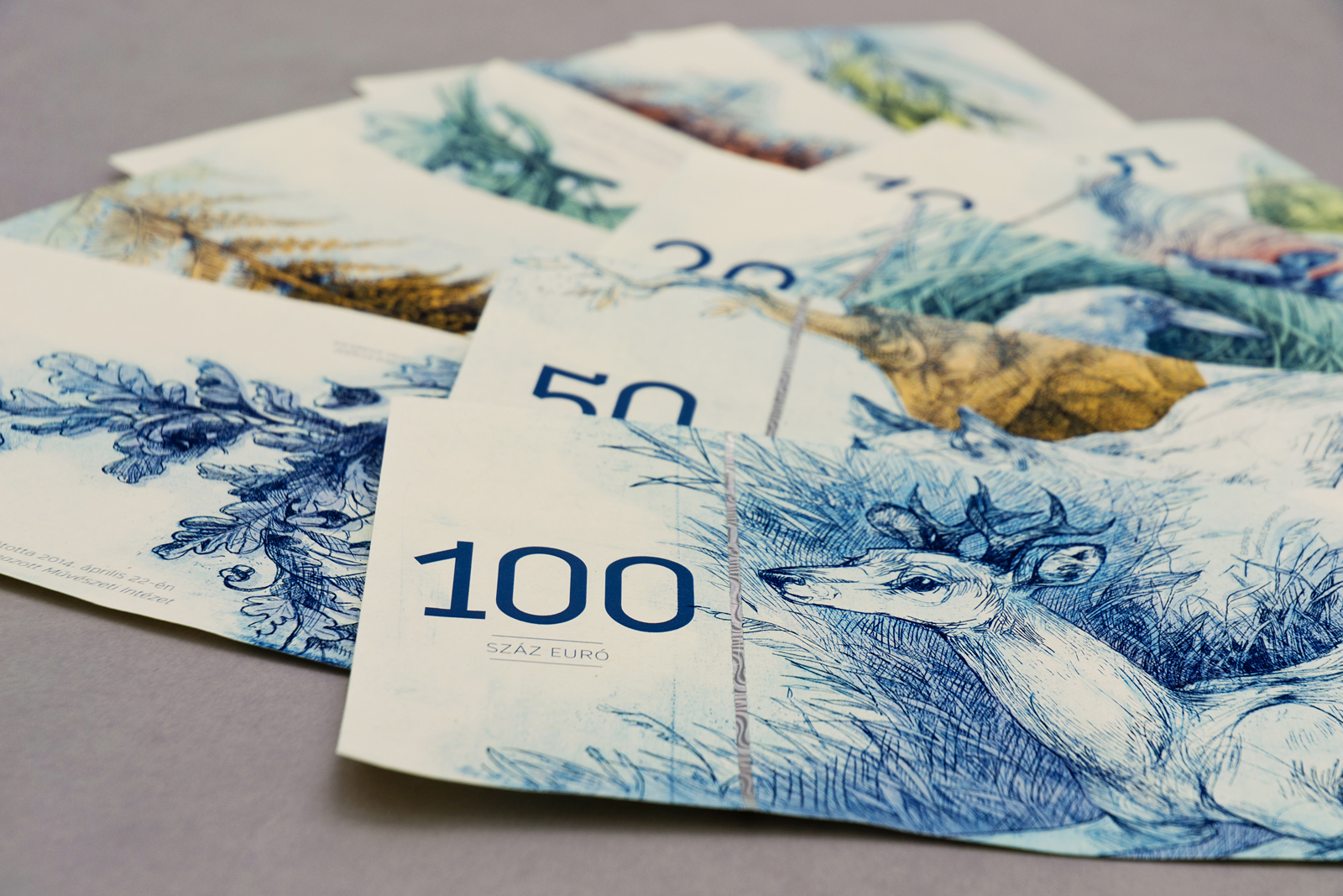 Hungarian Euro by Barbara Bernát 07.jpg