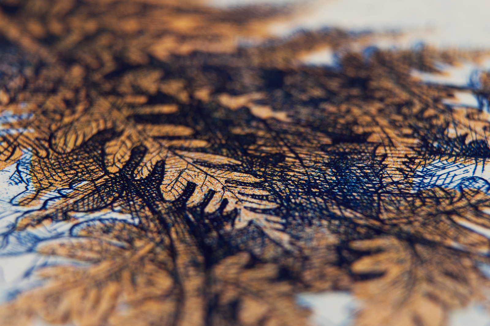 Hungarian Euro by Barbara Bernát 11.jpg
