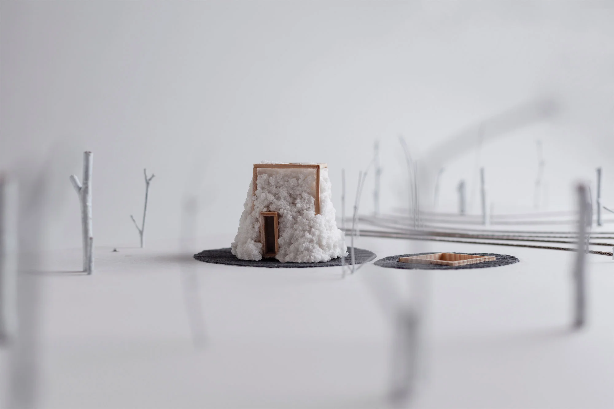 Scale-Petra-Bognar-Bence-Dobos-004.jpg