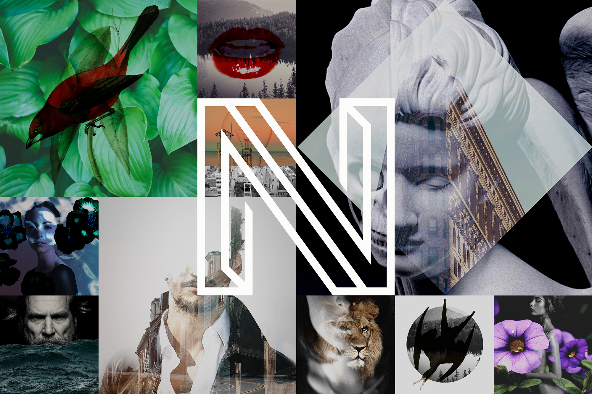 neverland_hellodesign_08.jpg