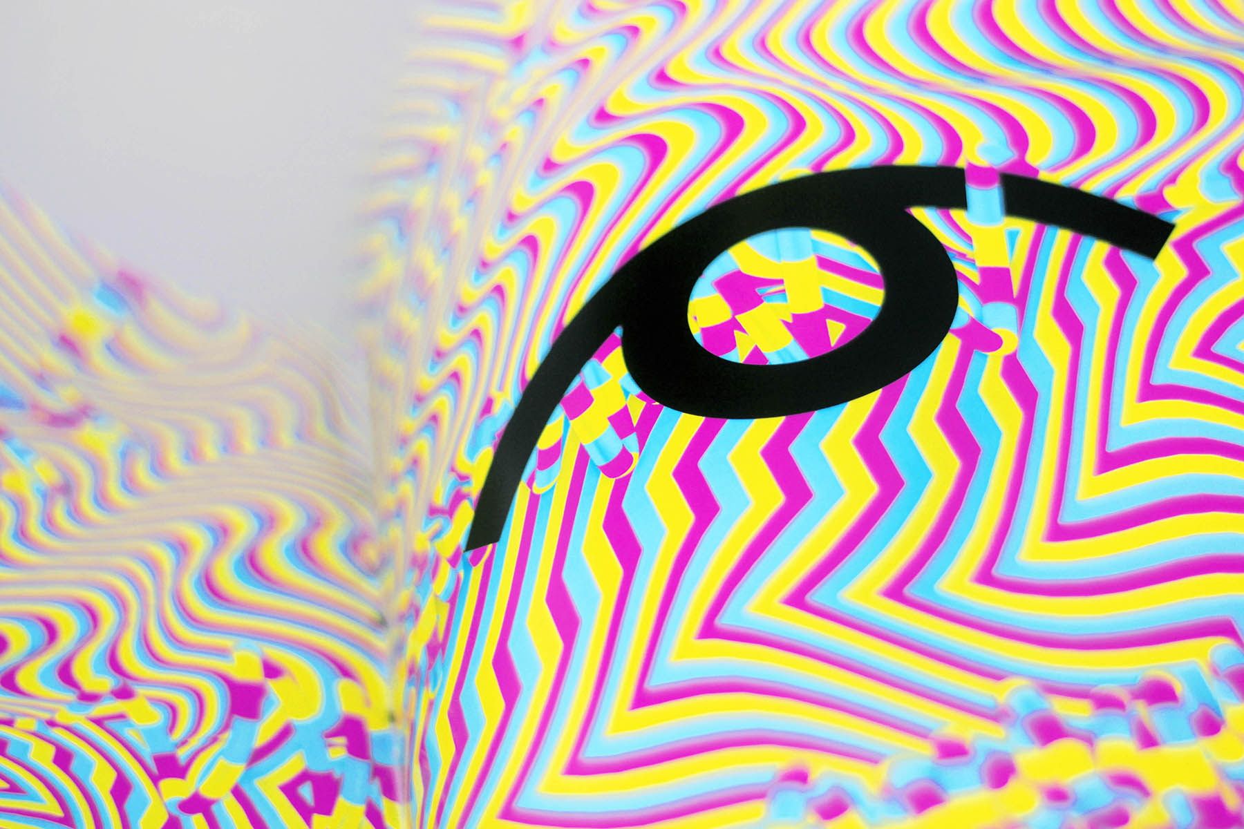 017.jpg