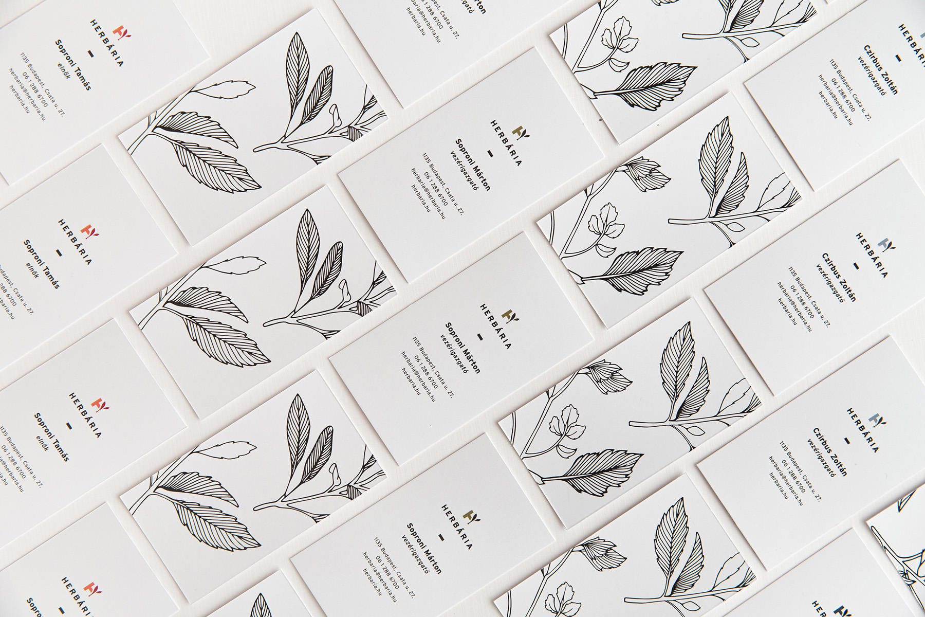 hellodesign_herbaria_16.jpg