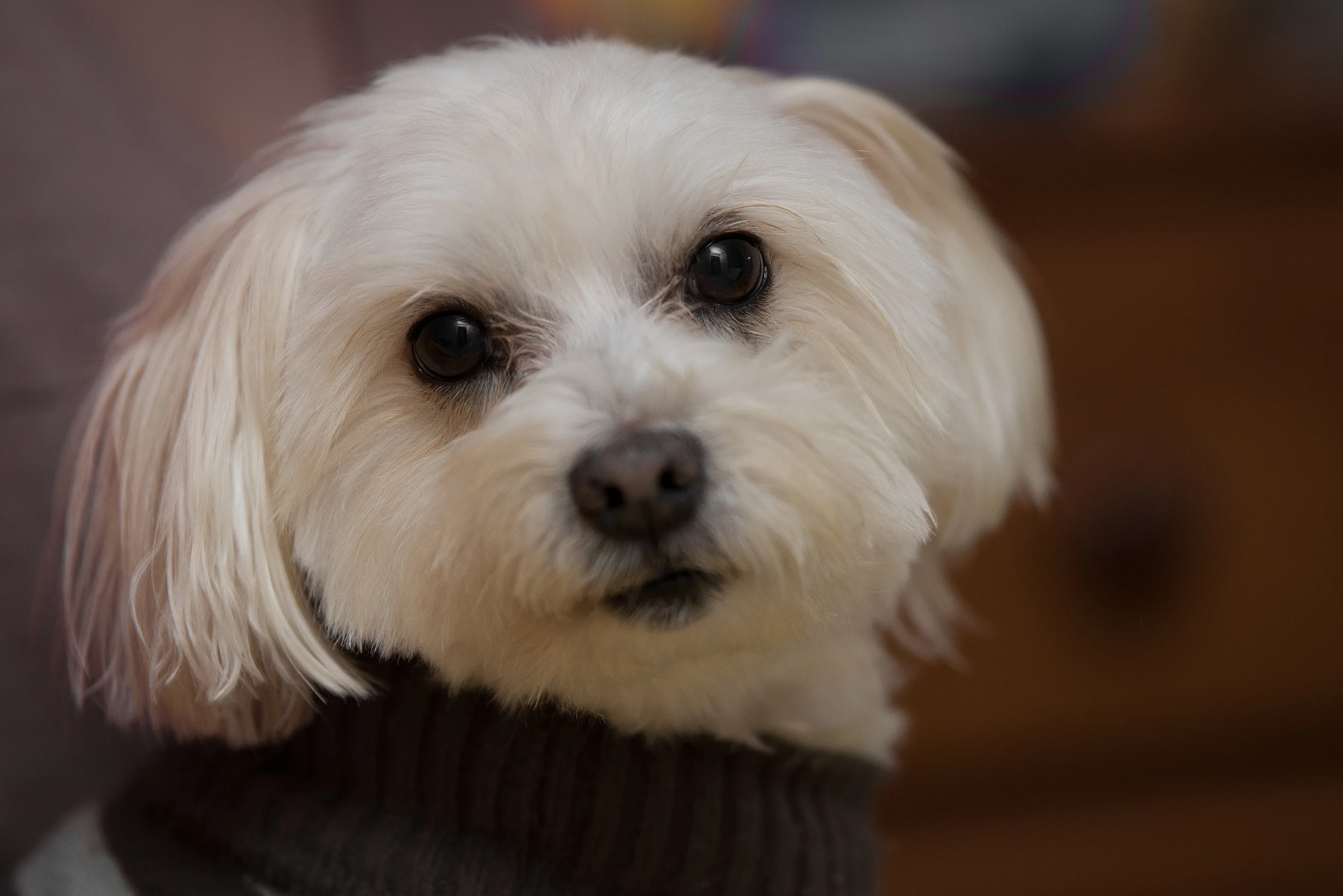 DSC_2082-Edit.jpg