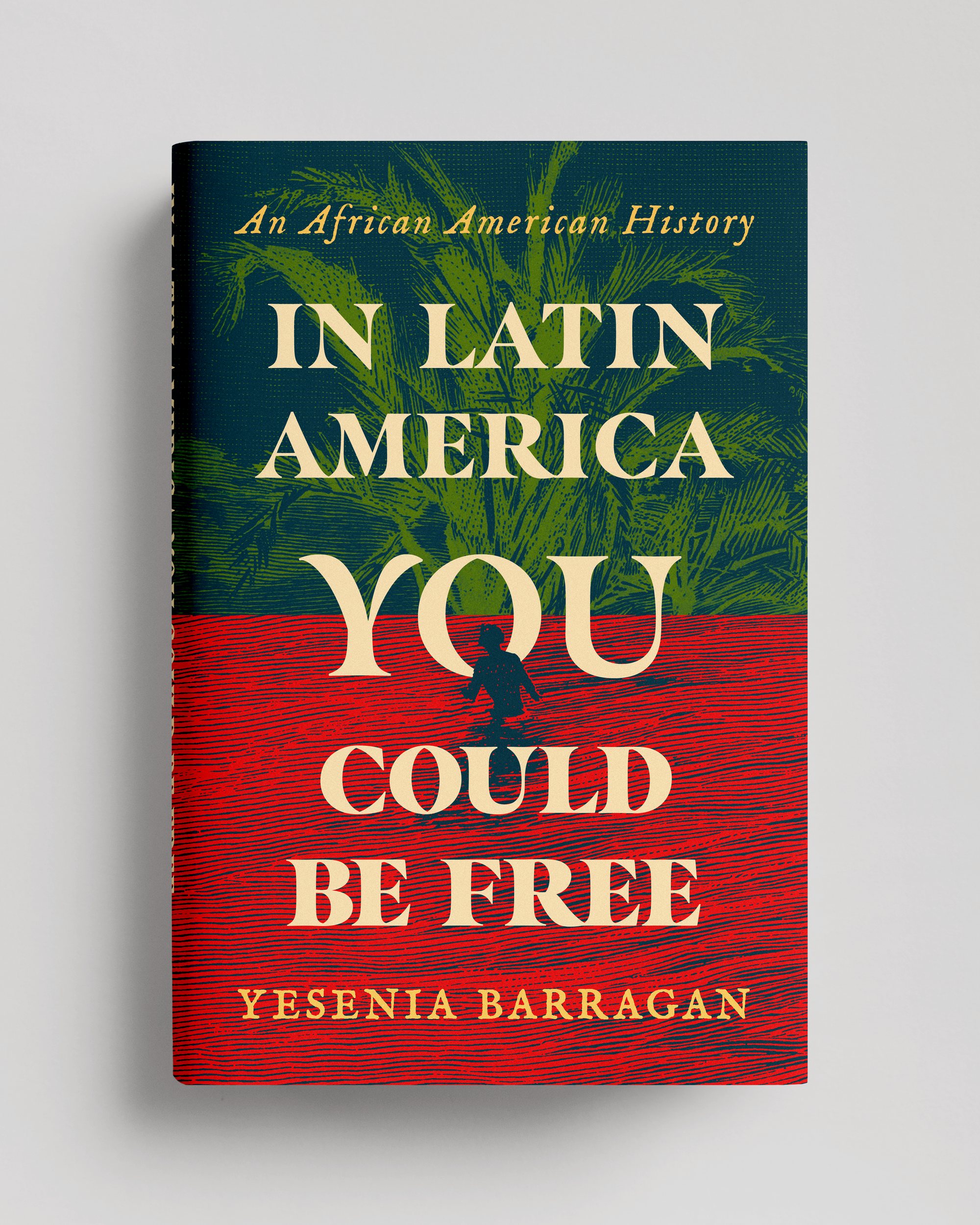 InLatinAmerica_NEW.png