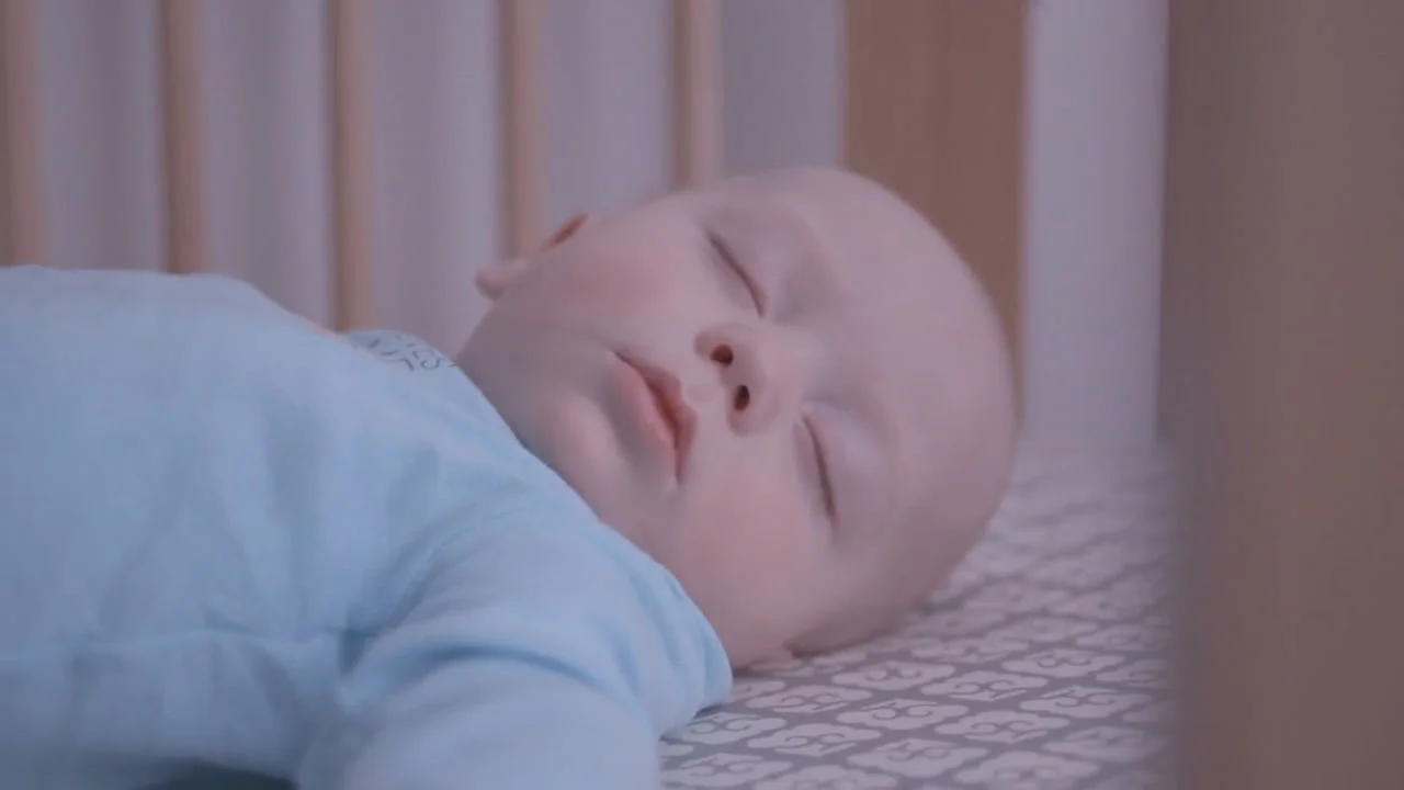 Rowenta Vacuums :15 TV