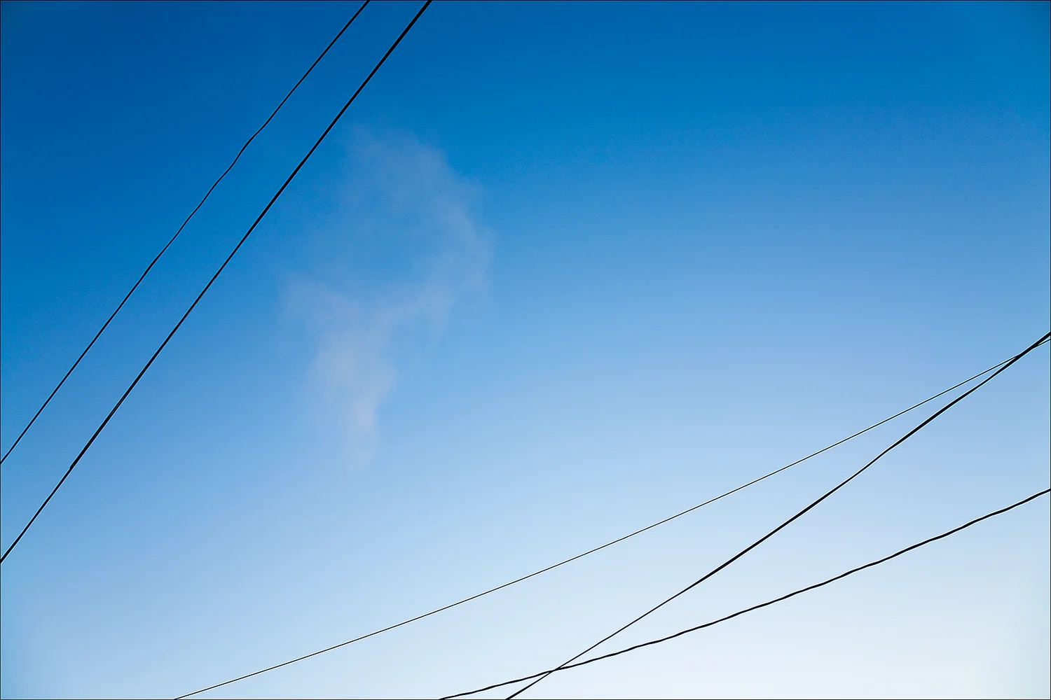 Jim Vecchi - Sunset Trilogy - lines - 03.jpg