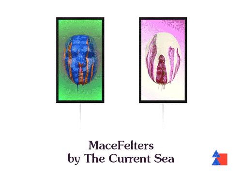 MaceFeltersTheCurrentSea.gif