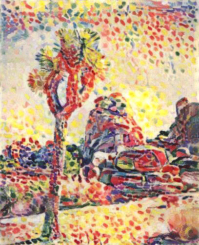 Matisse's Joshua Tree. By Sarah Zucker, 2016.