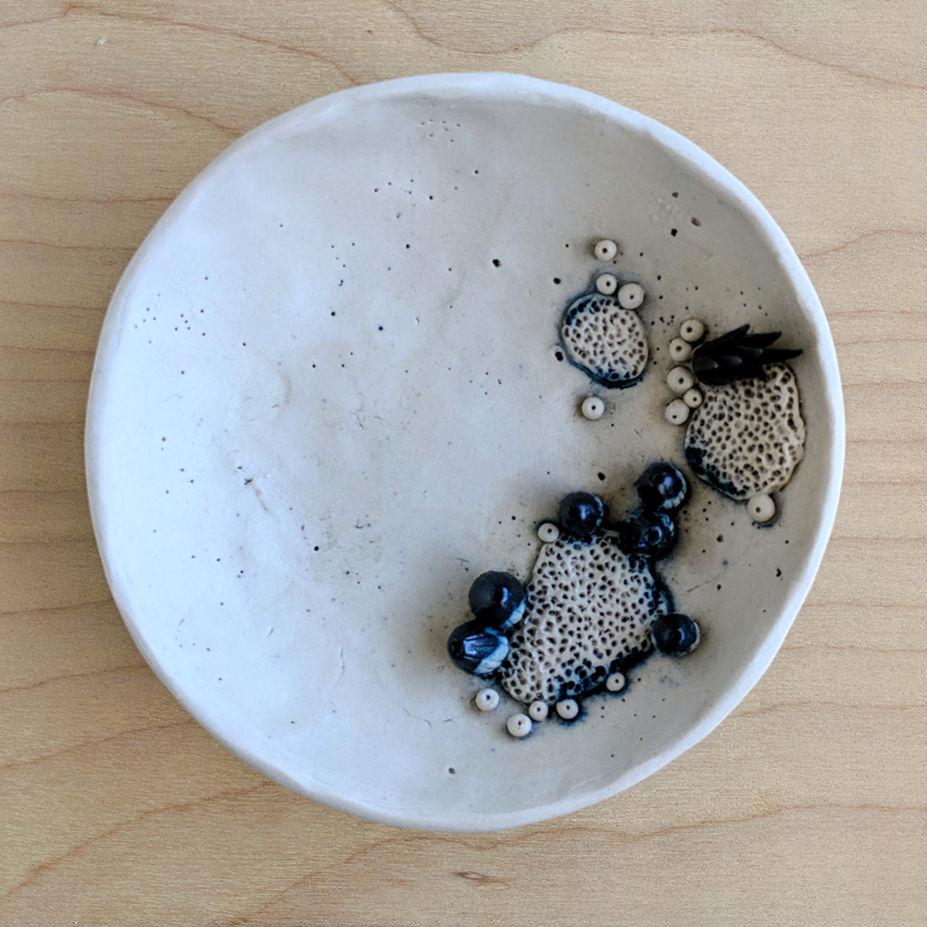 bowl-agnes-top.png