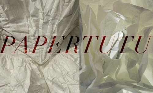 Paper Tutu • Observing A Process