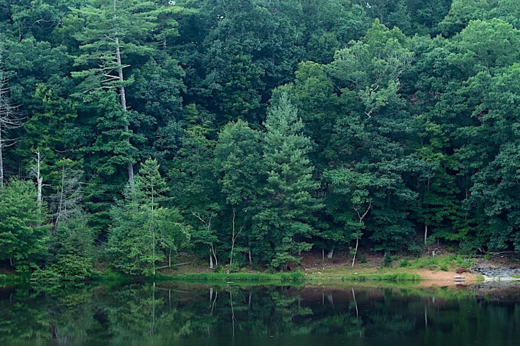 Troop 1916's Journal