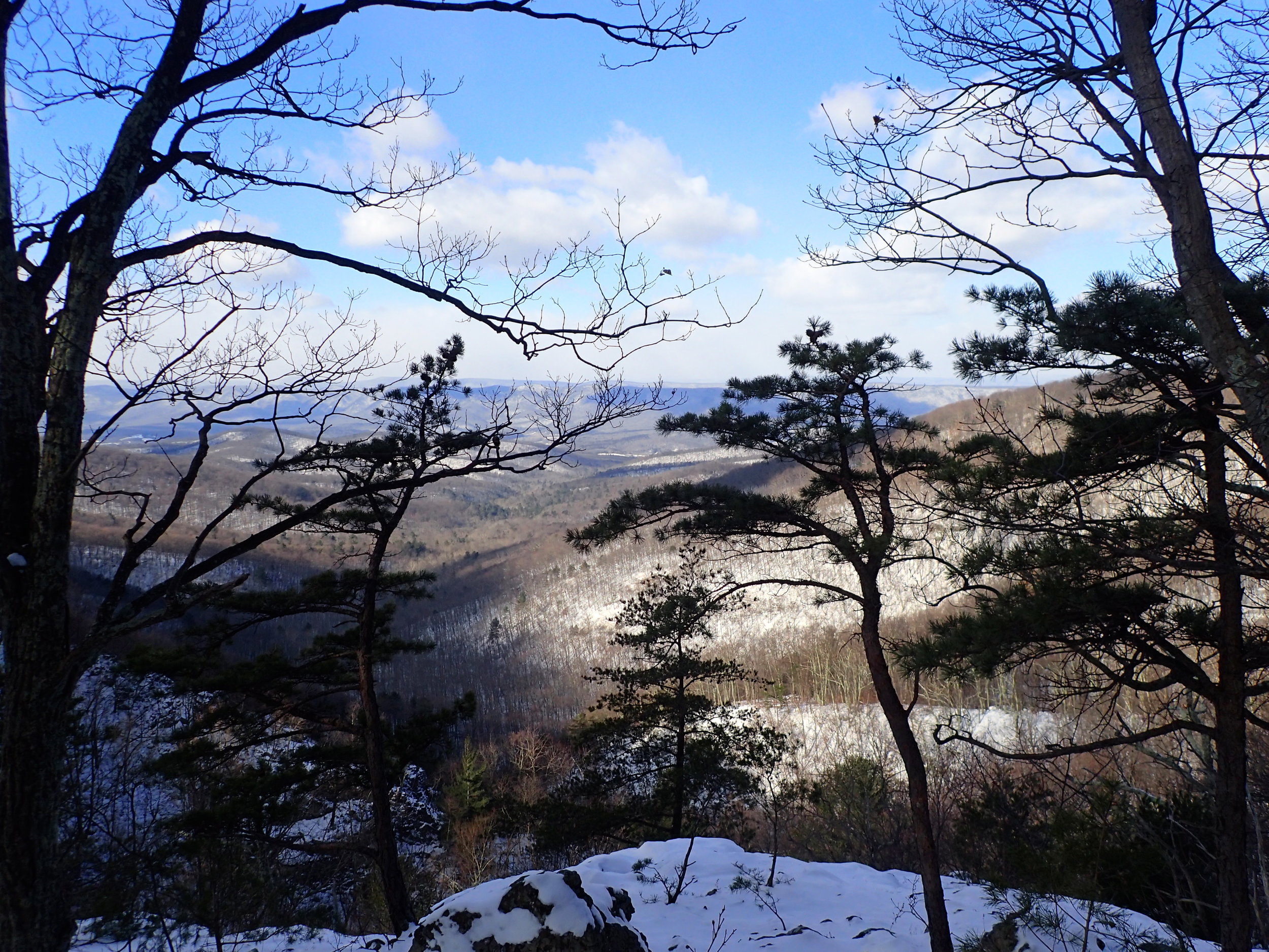 P1081578.JPG
