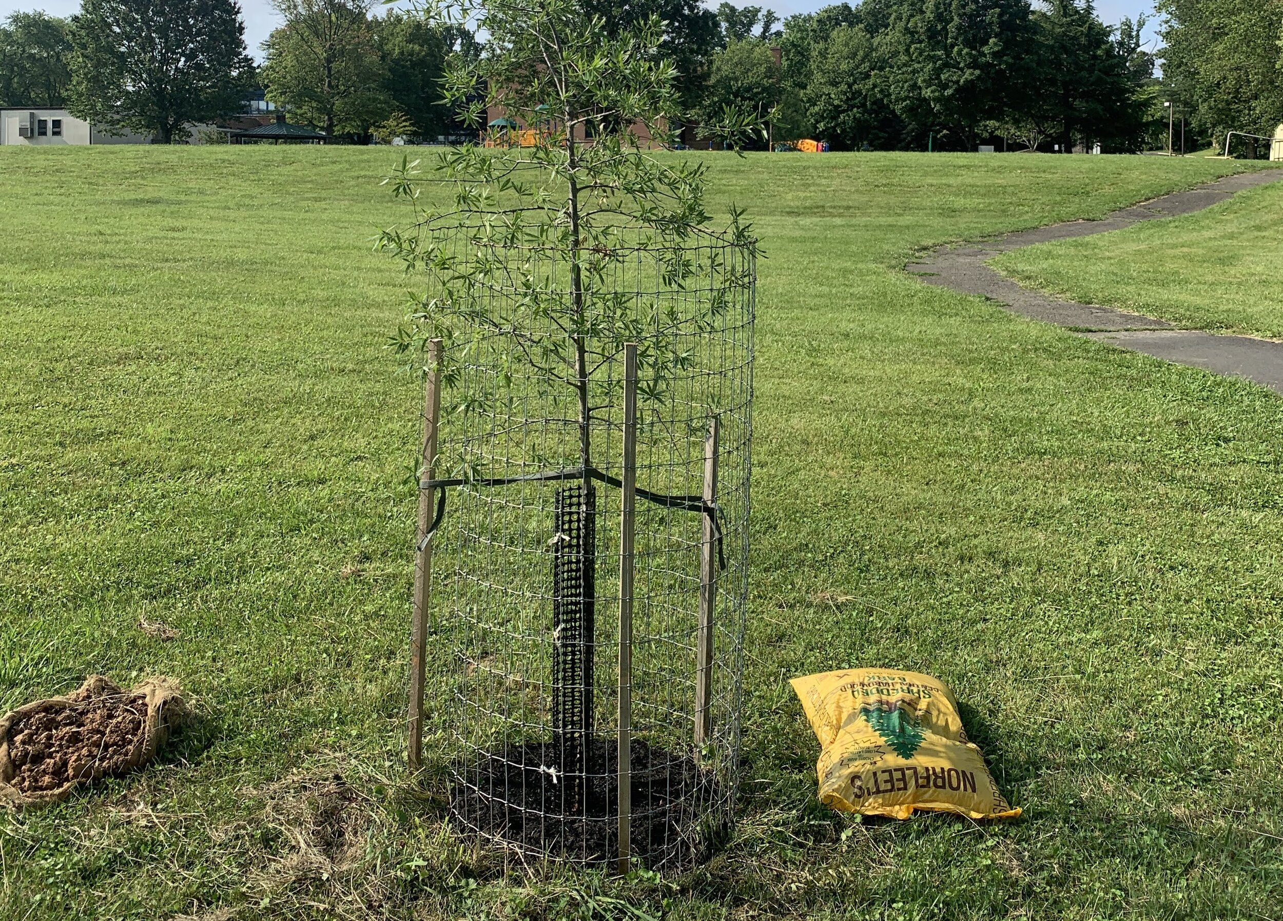 Sebastian's Eagle Project