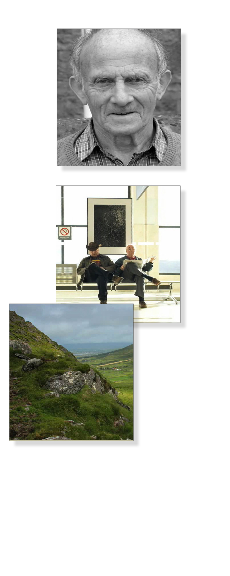 harmon-pages-tmoss-portfolio.jpg